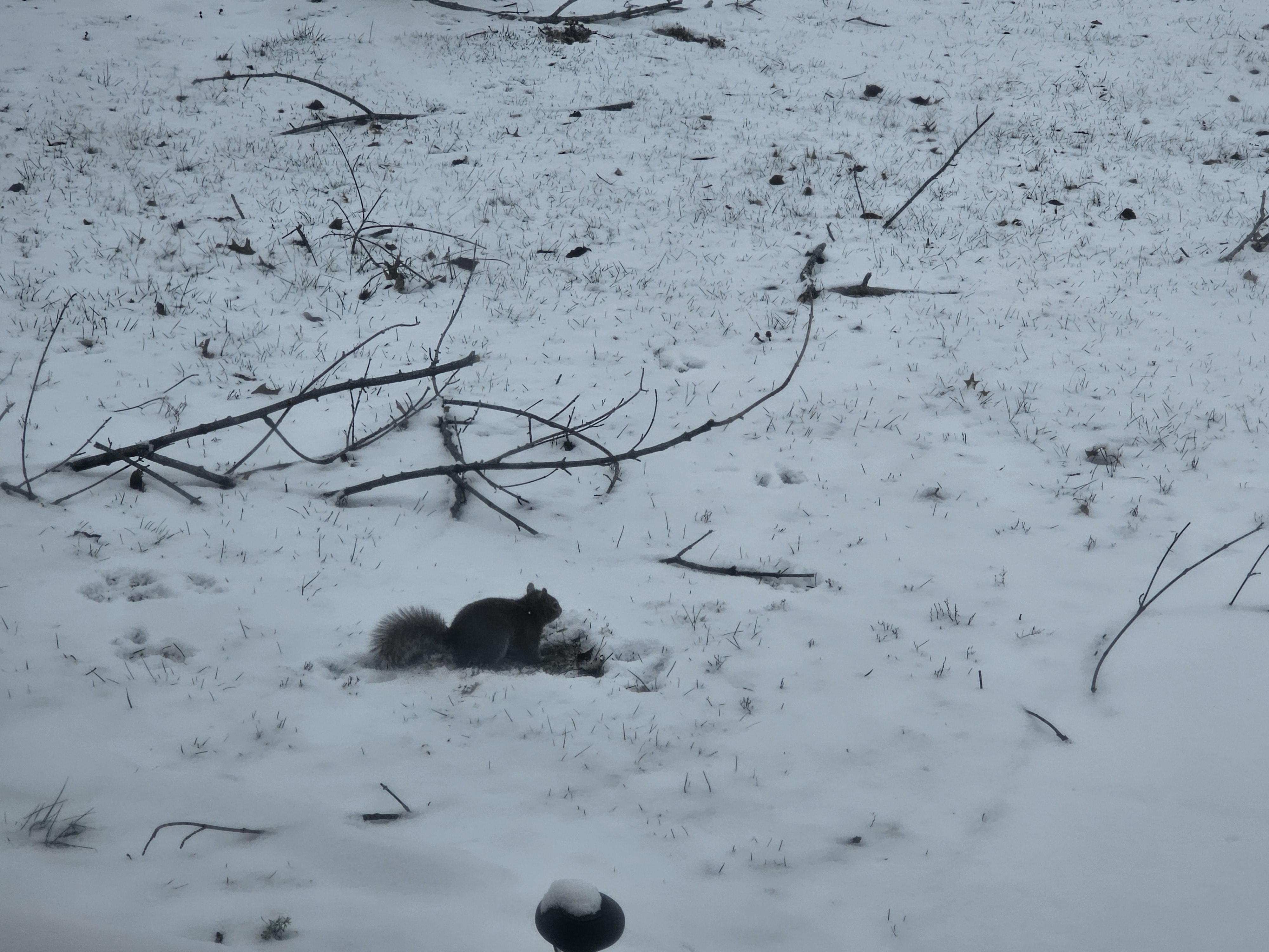 Photos · Jan 15, 2024