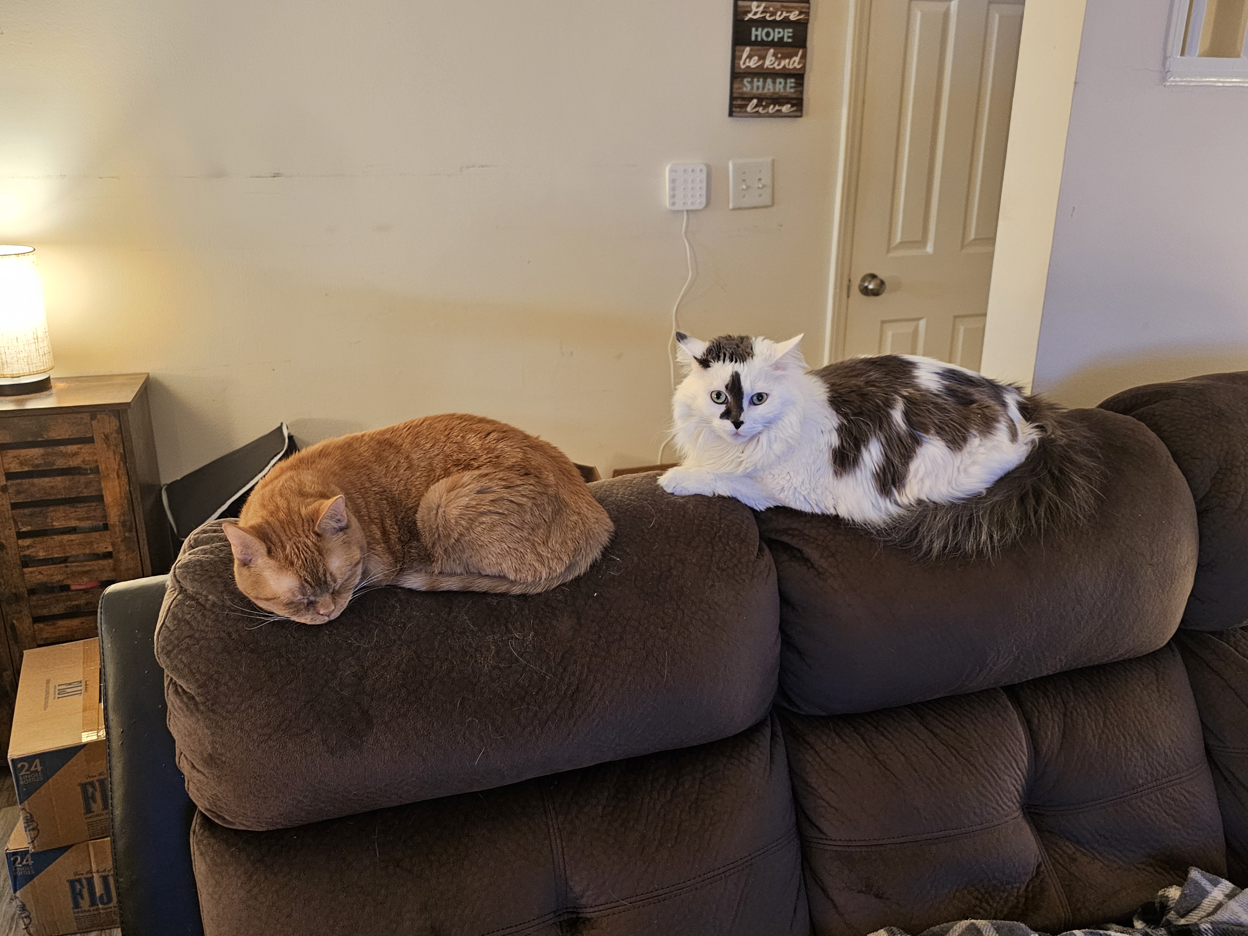 Photos · Jan 15, 2024