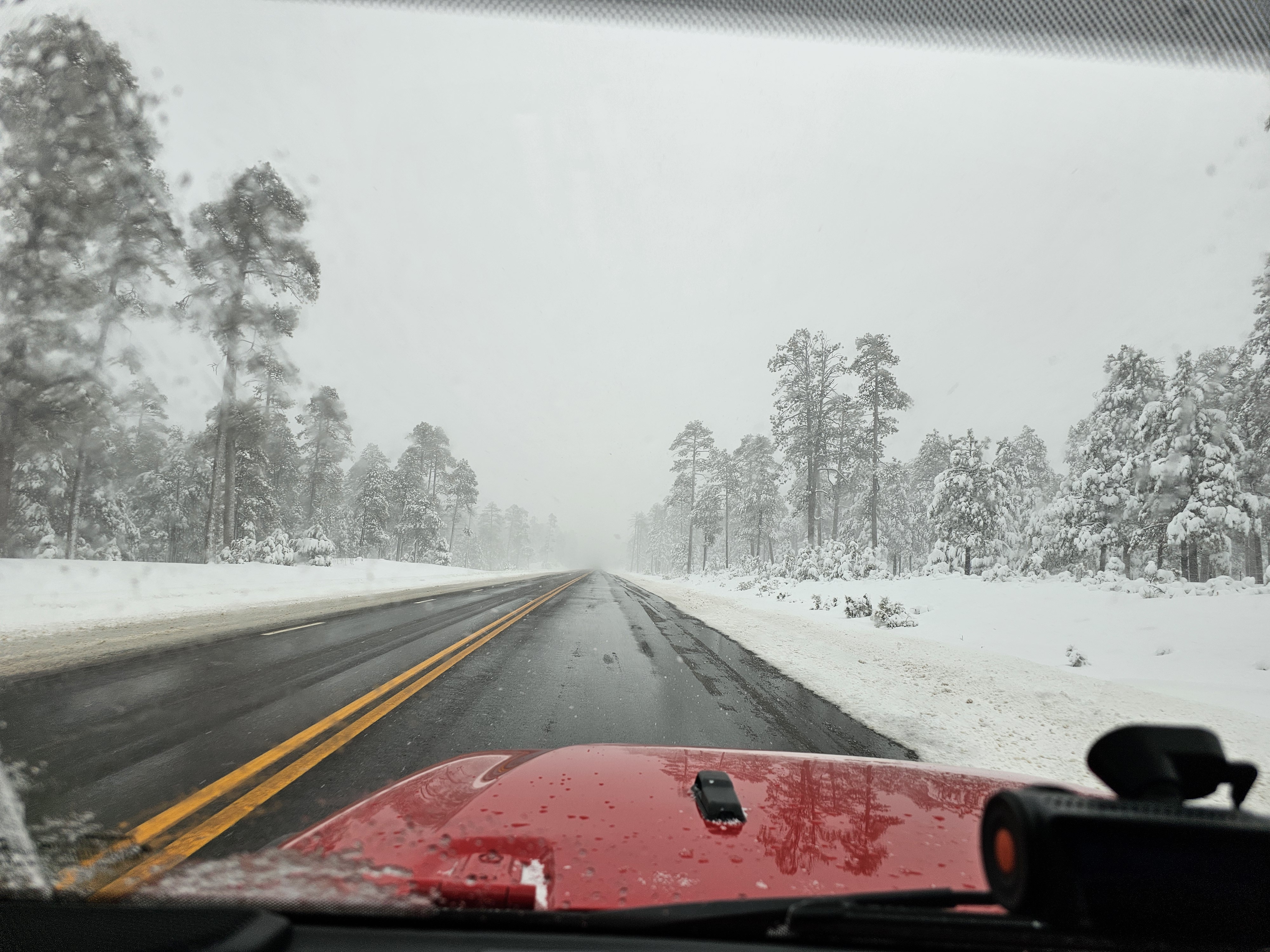 Trip from Arizona
