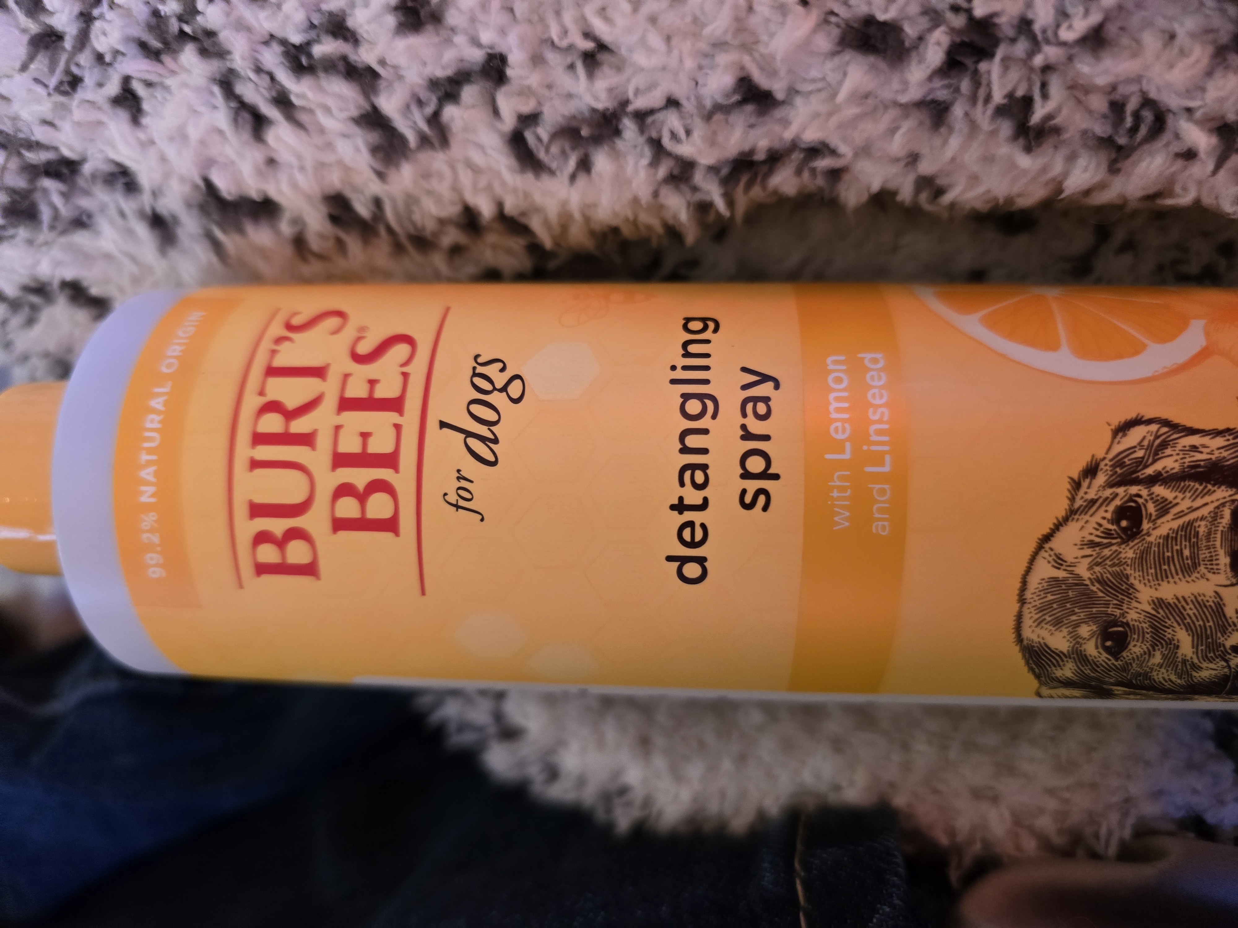 Photos · Sep 25, 2024