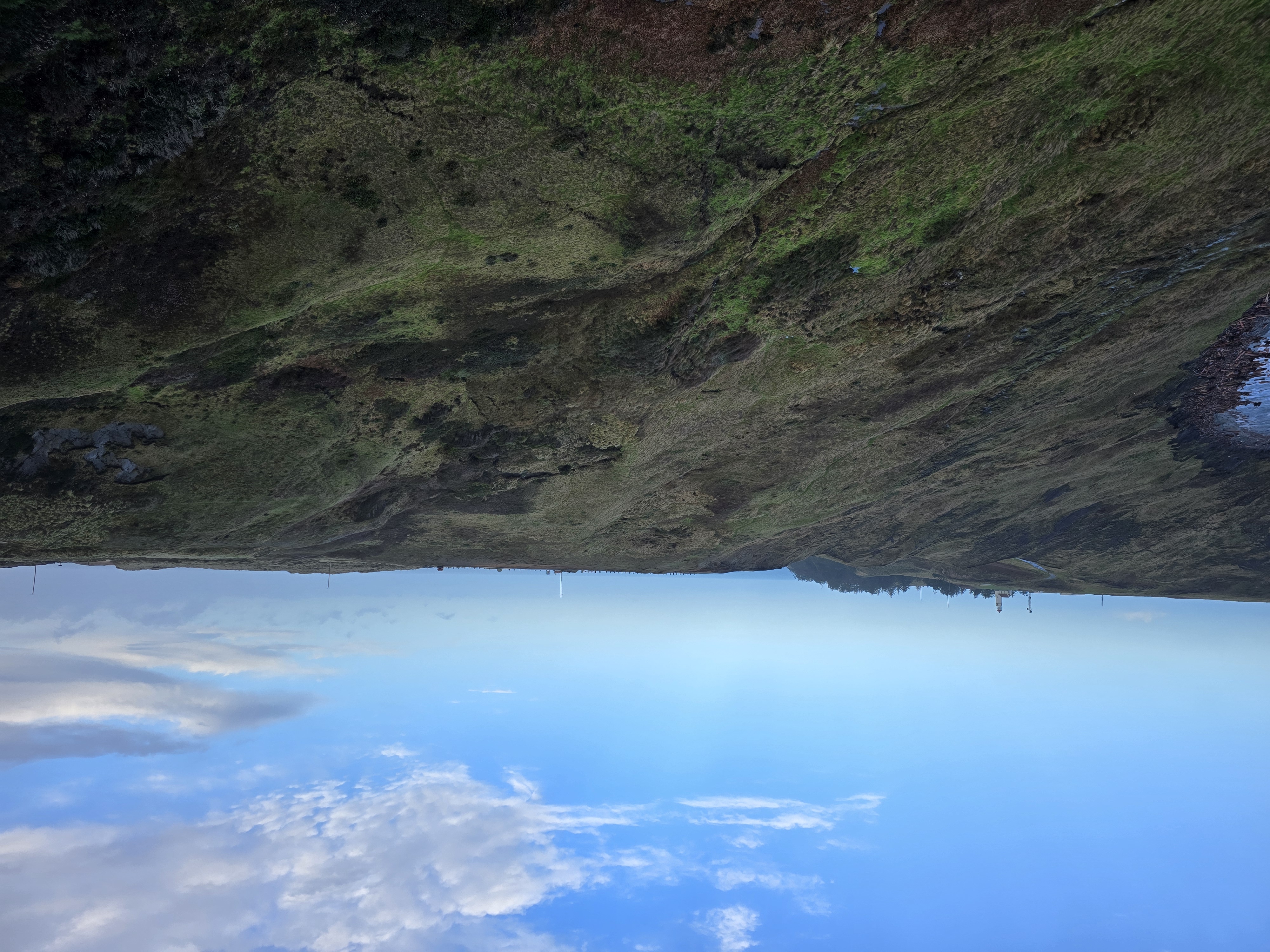 Photos · Jan 3, 2025
