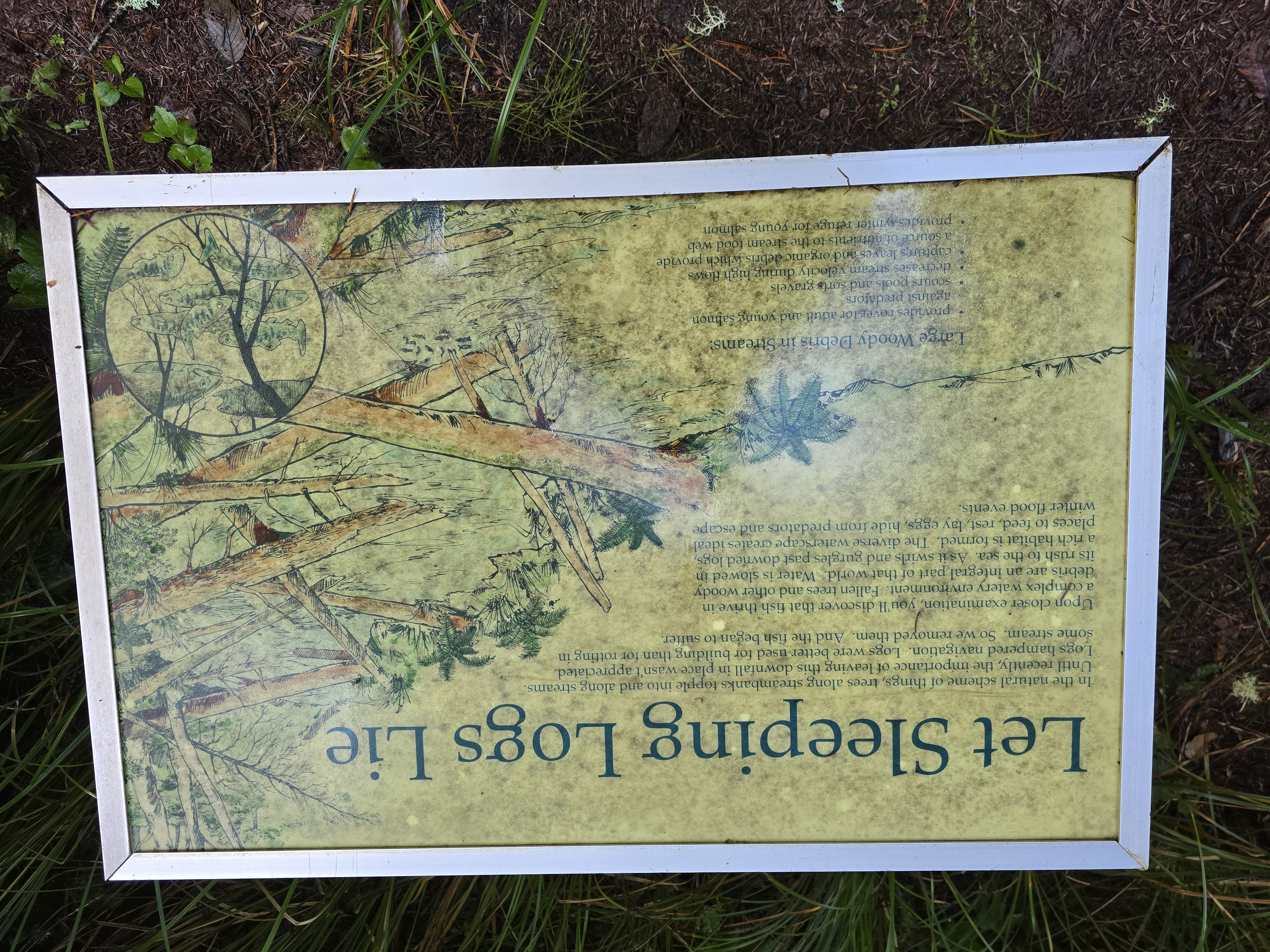 Photos · Jan 3, 2025