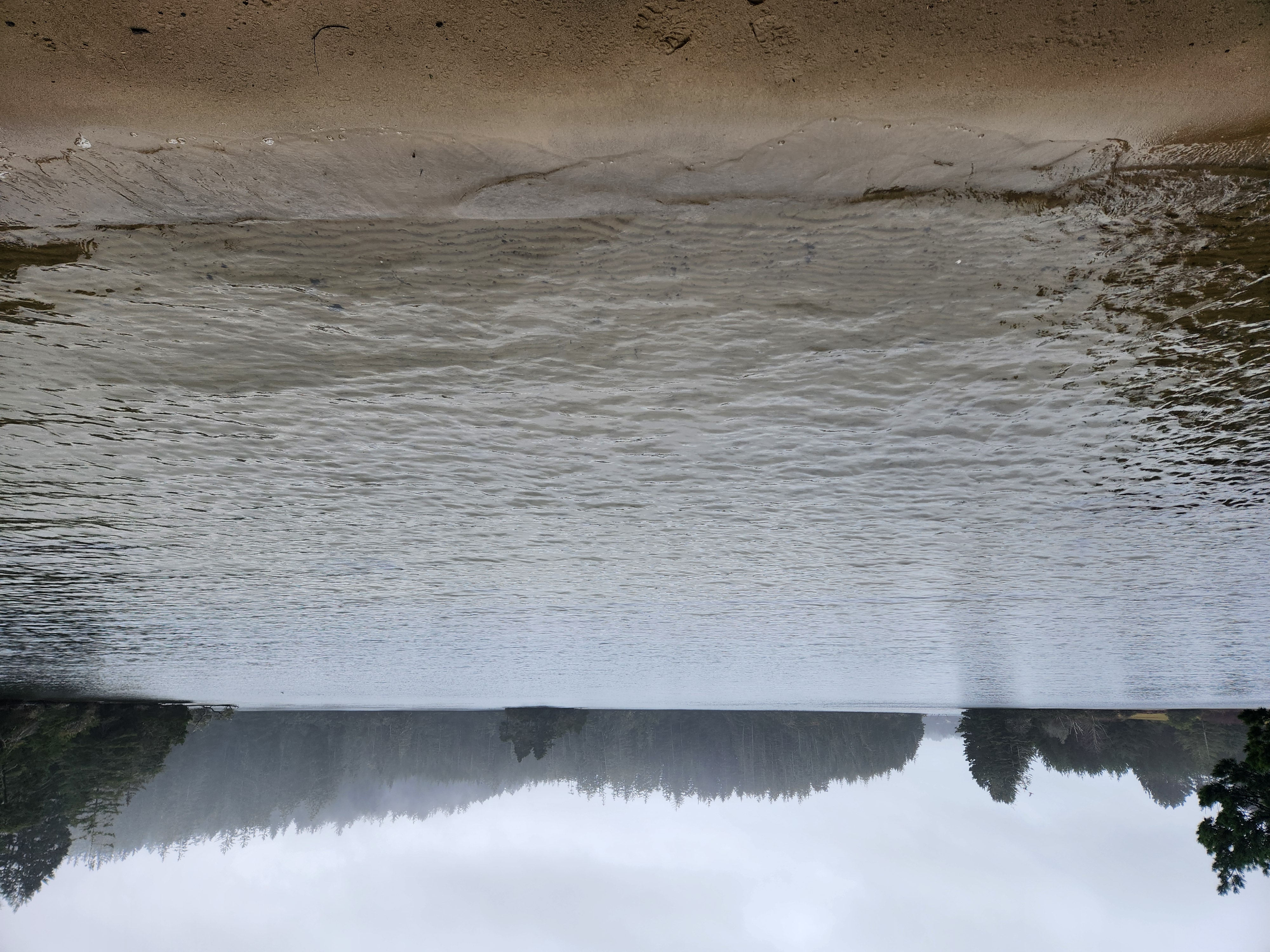 Photos · Jan 31, 2025