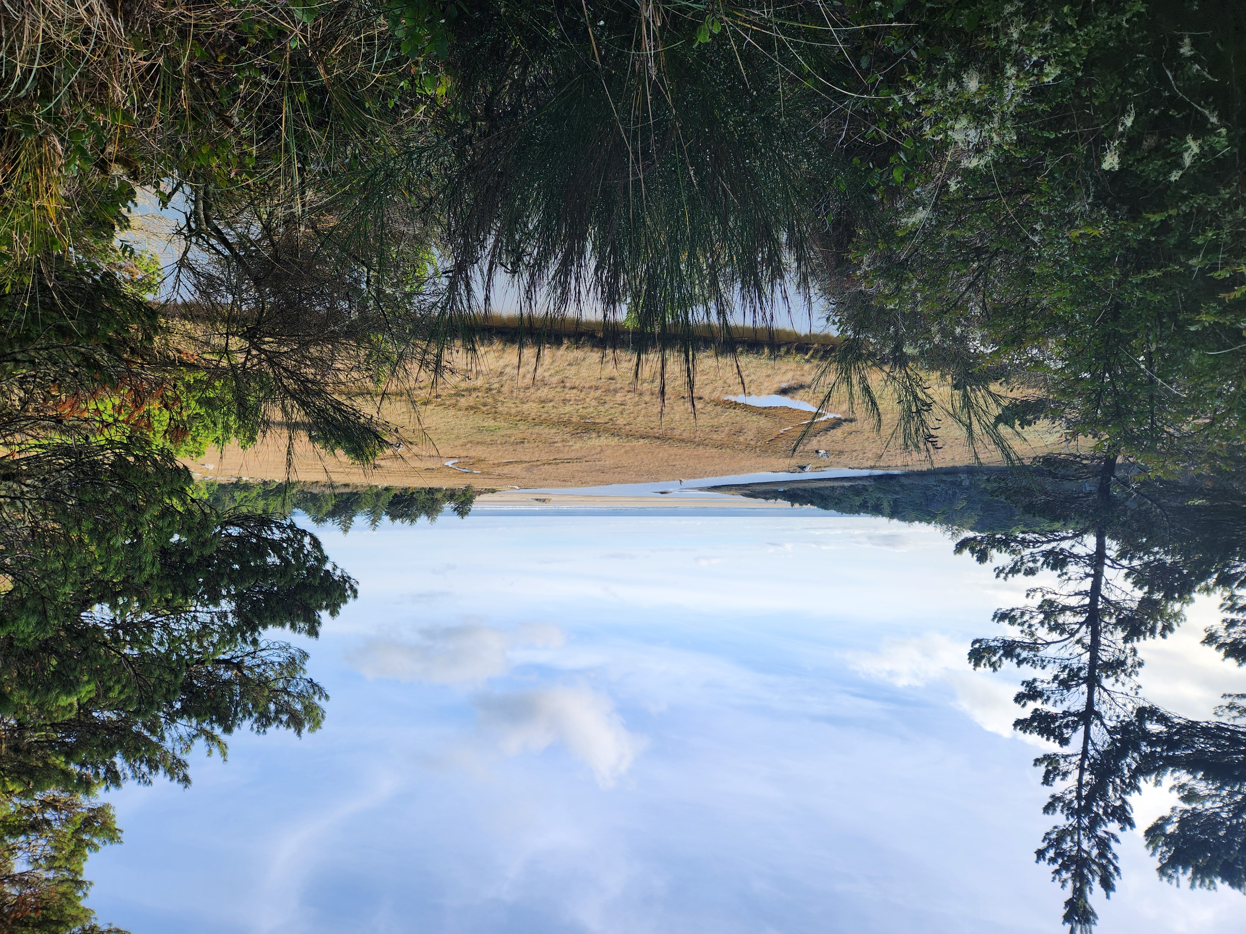 Photos · Nov 30, 2025