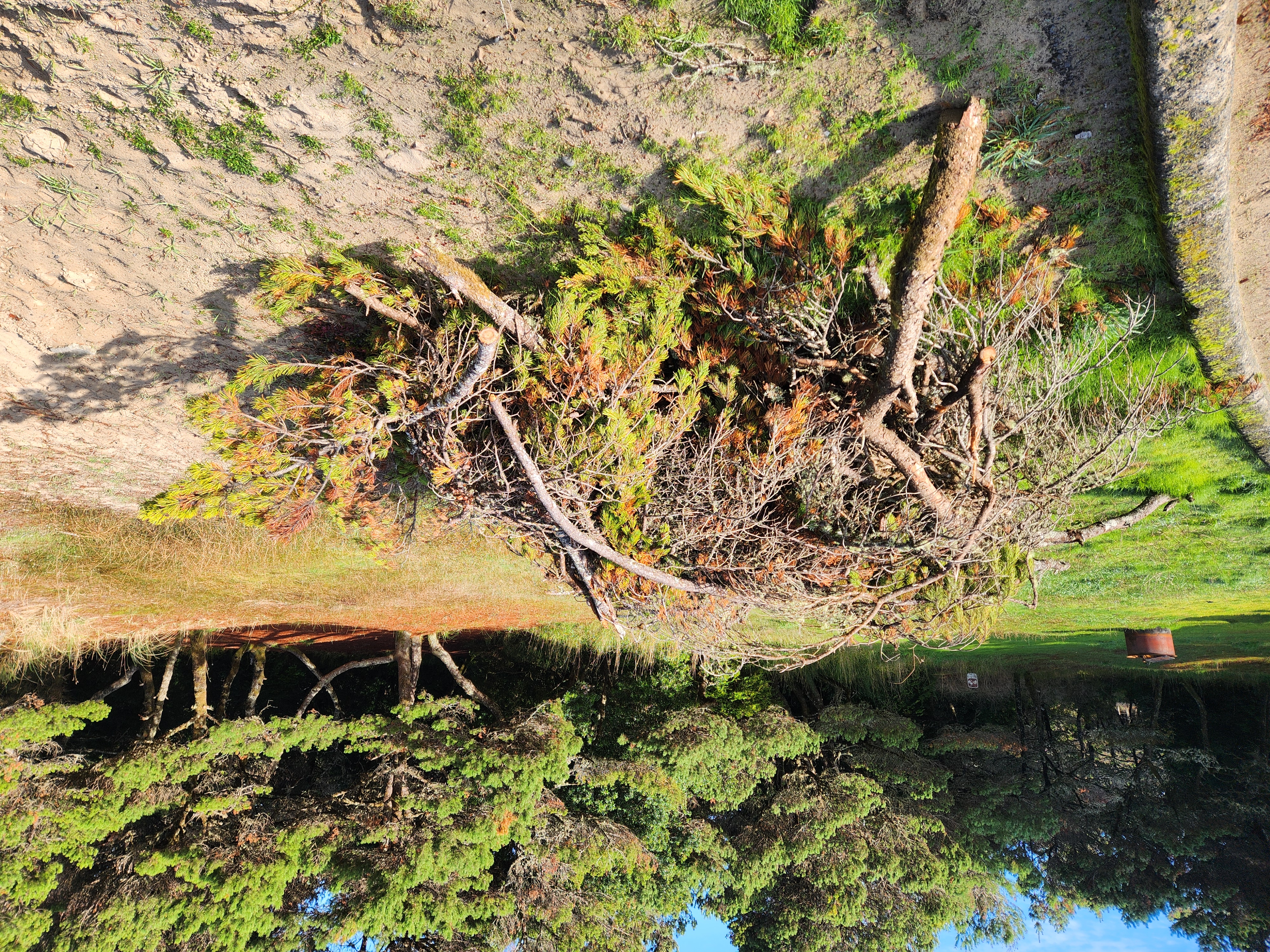 Photos · Dec 1, 2025