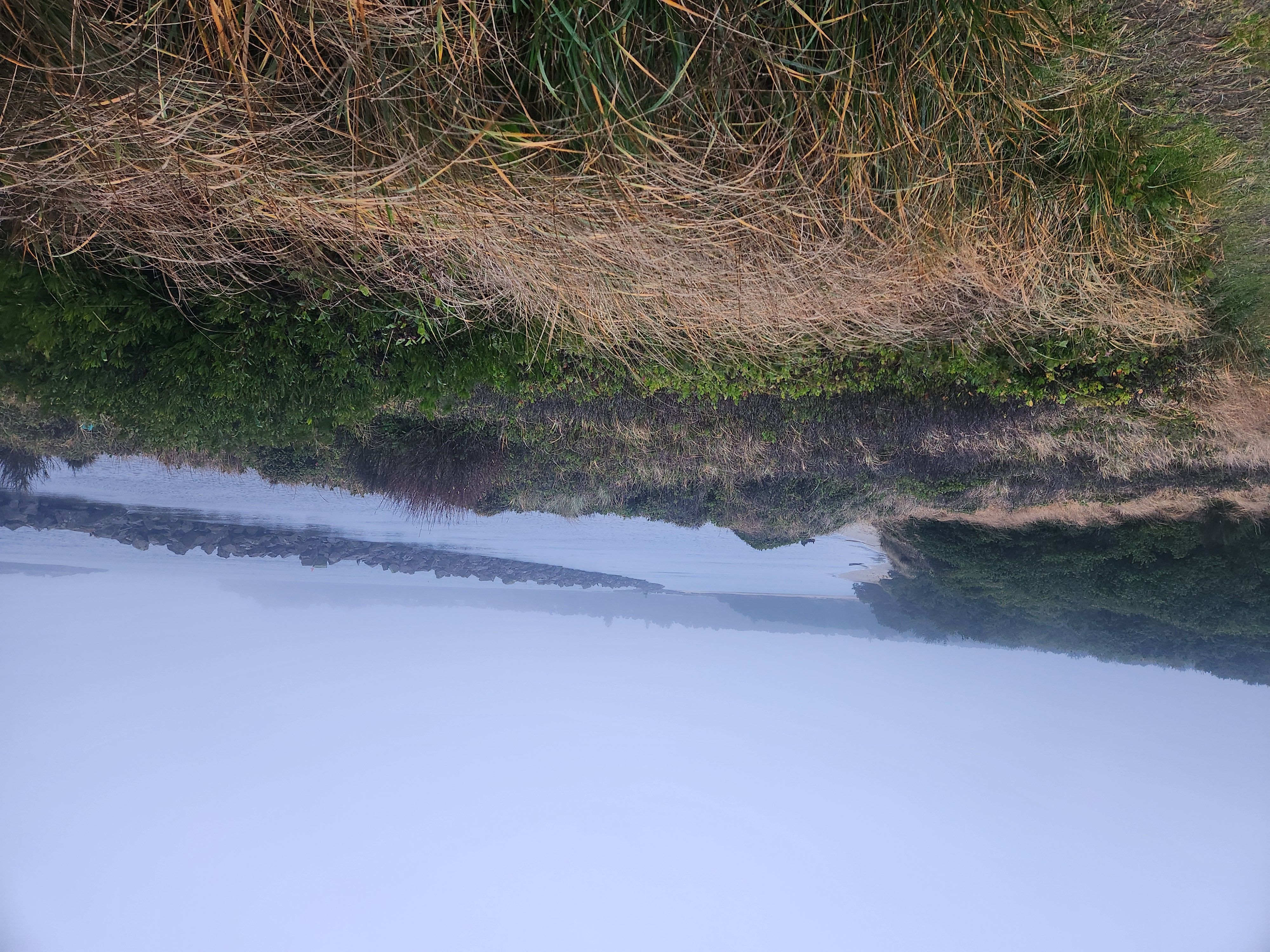 Photos · Dec 9, 2025