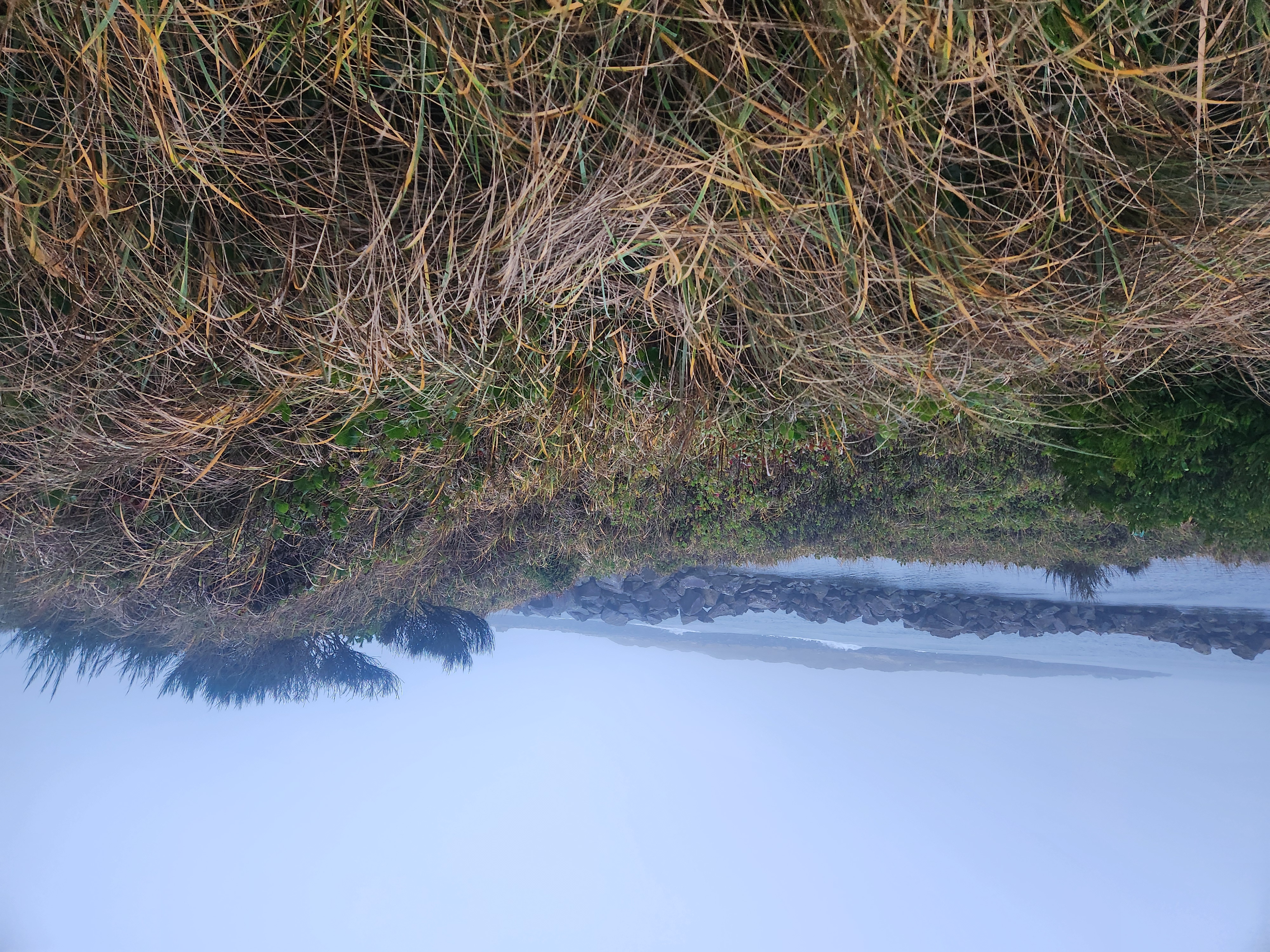 Photos · Dec 9, 2025
