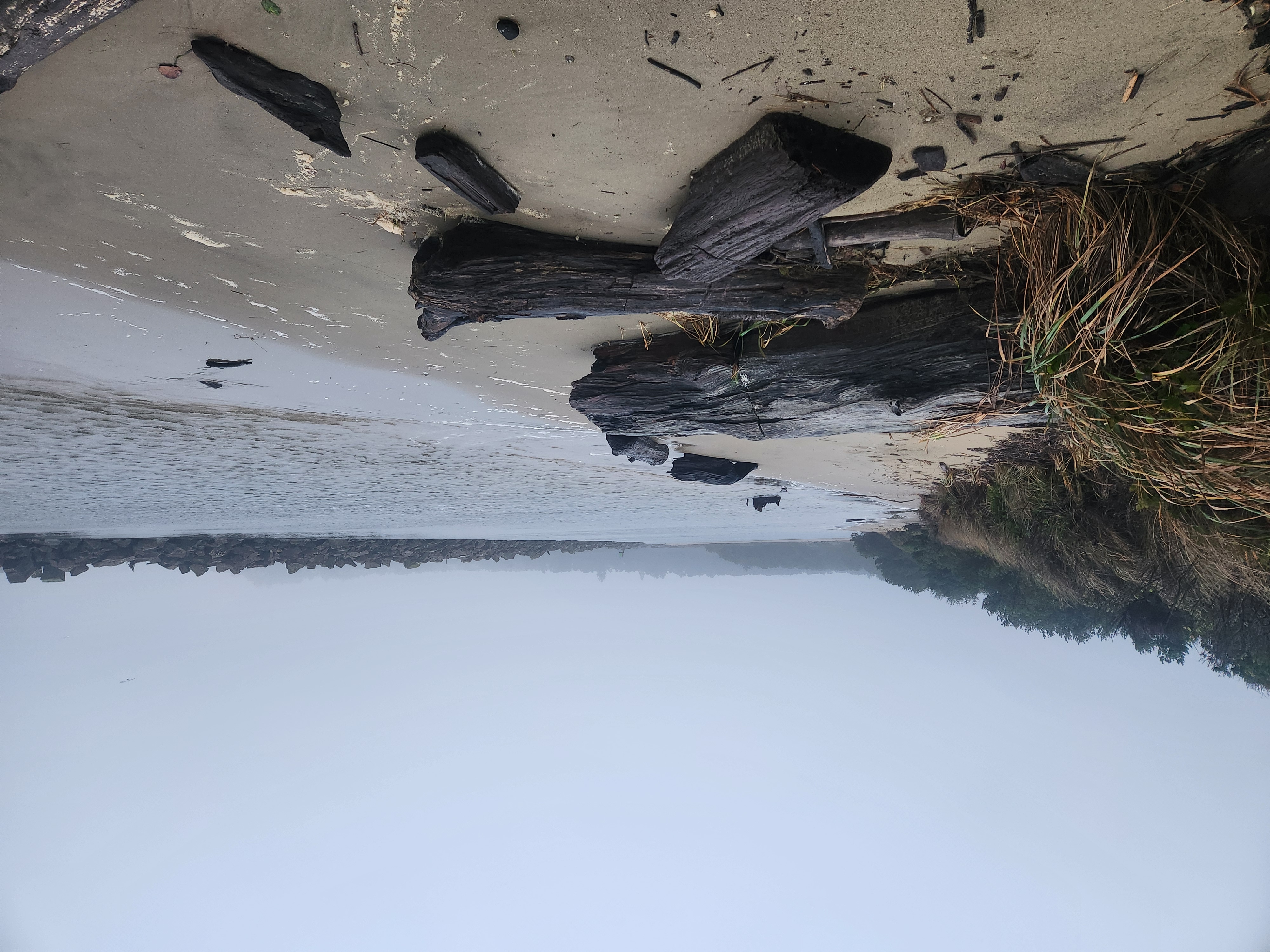 Photos · Dec 9, 2025