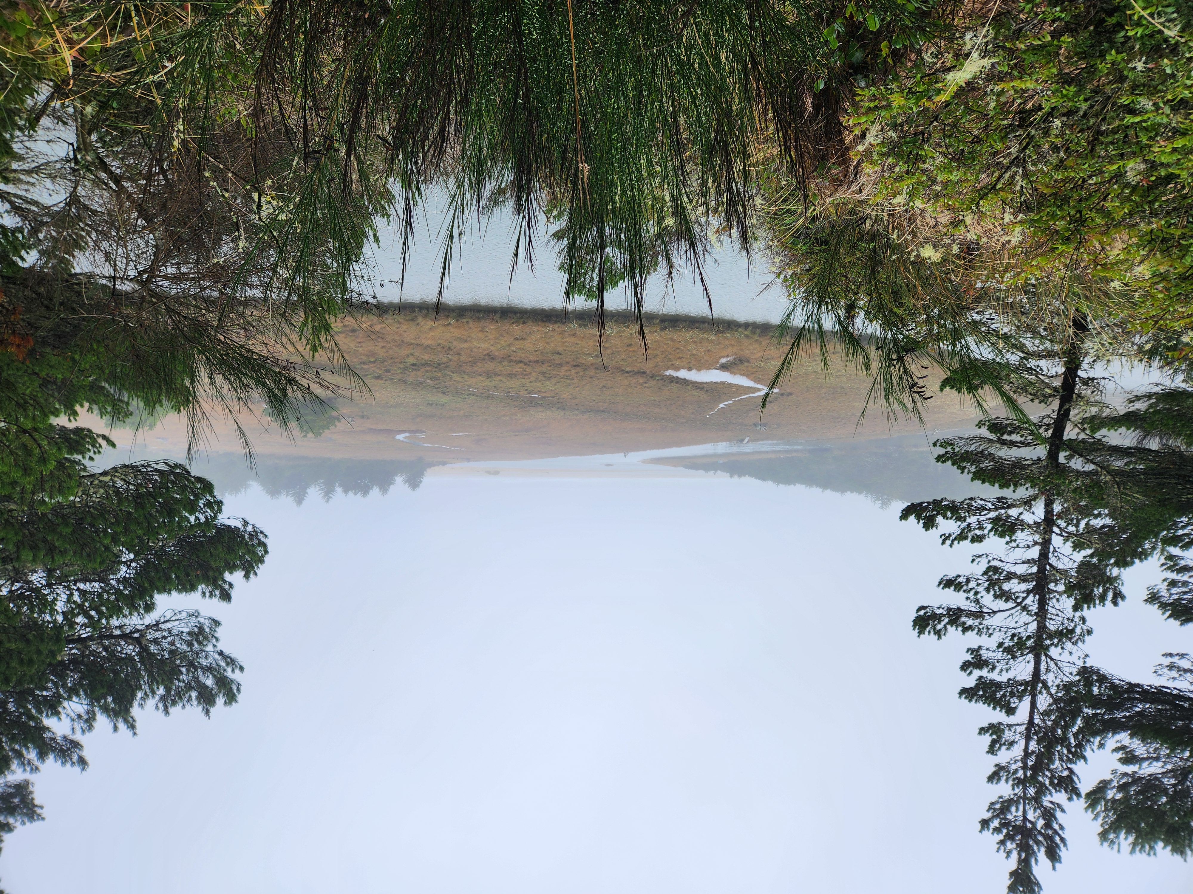 Photos · Dec 10, 2025
