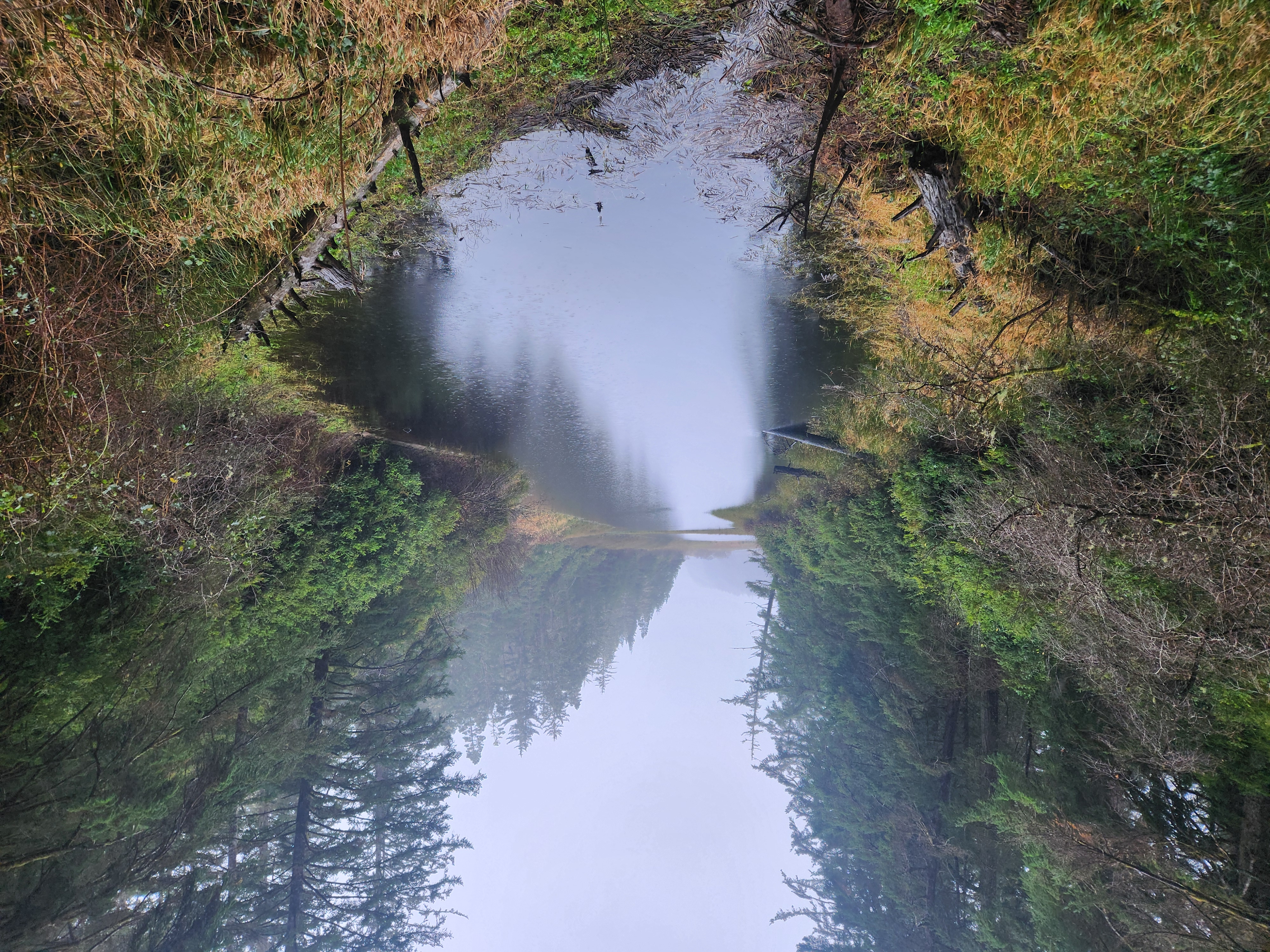 Photos · Dec 21, 2025