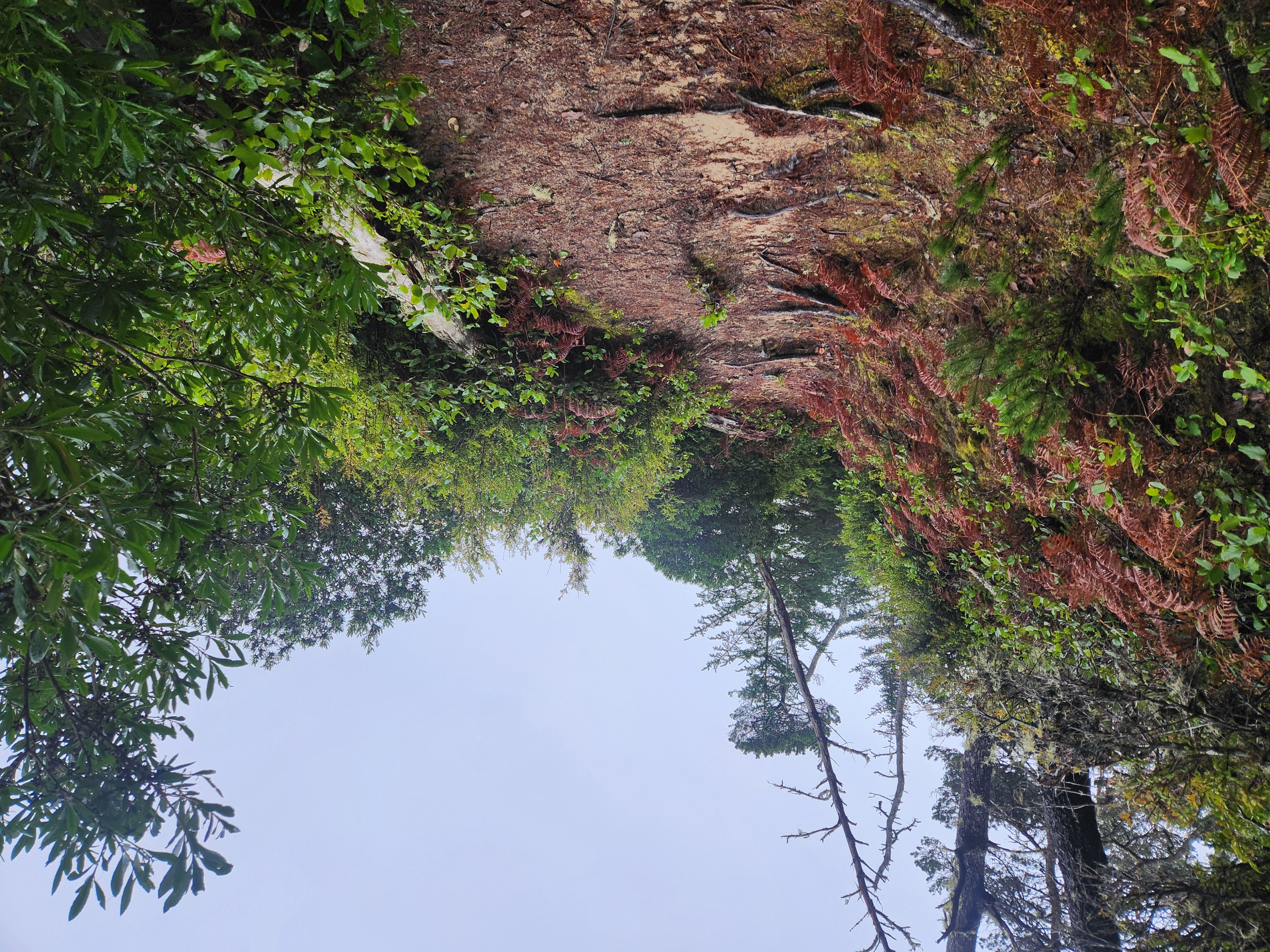 Photos · Dec 21, 2025