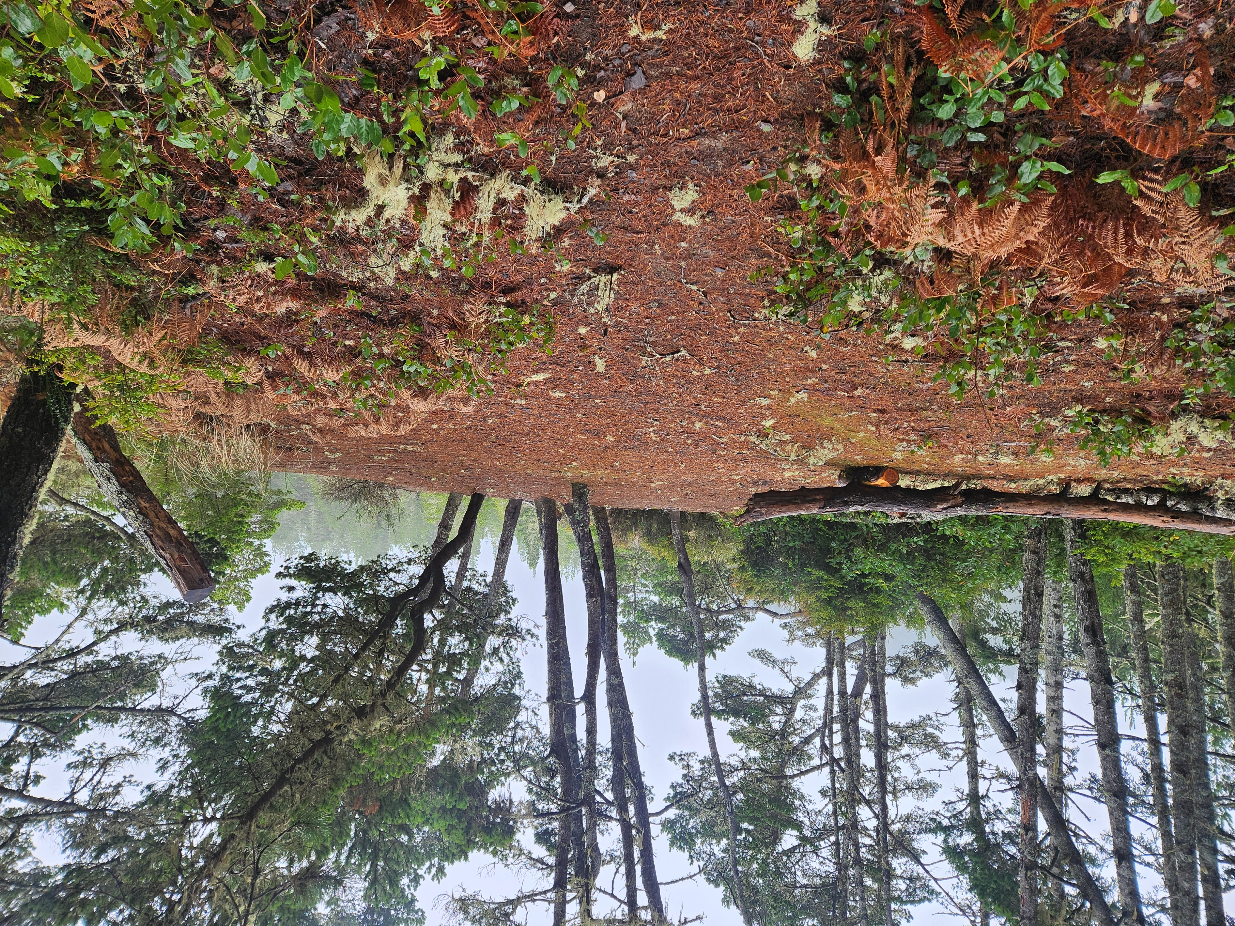 Photos · Dec 21, 2025