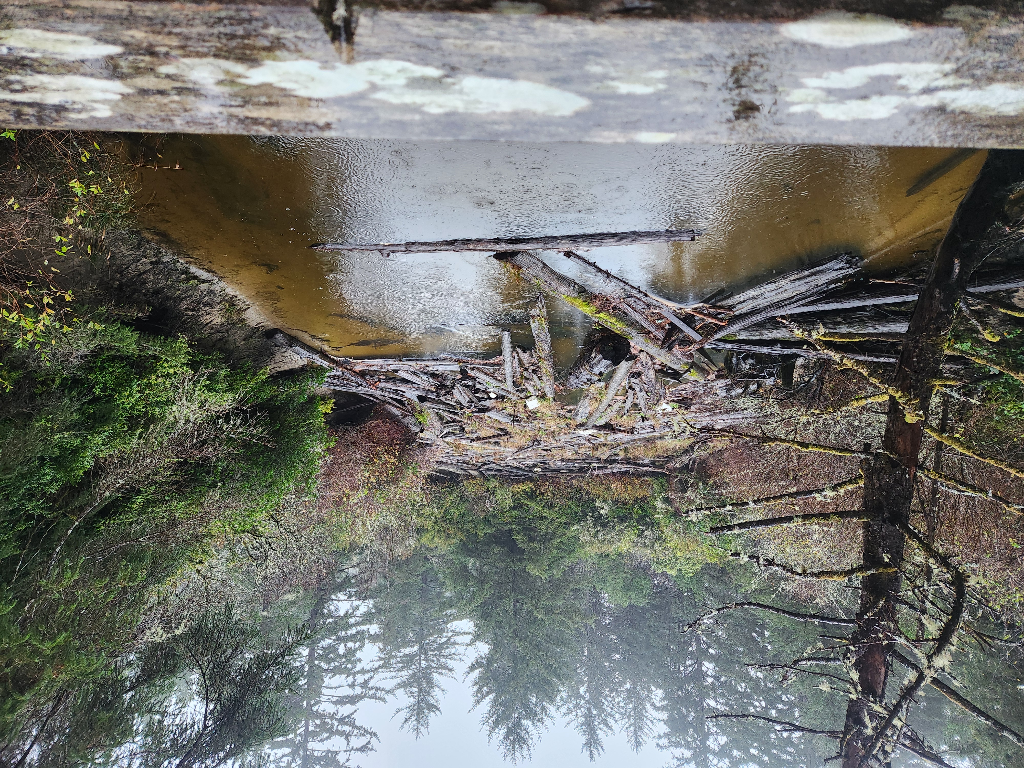 Photos · Dec 21, 2025