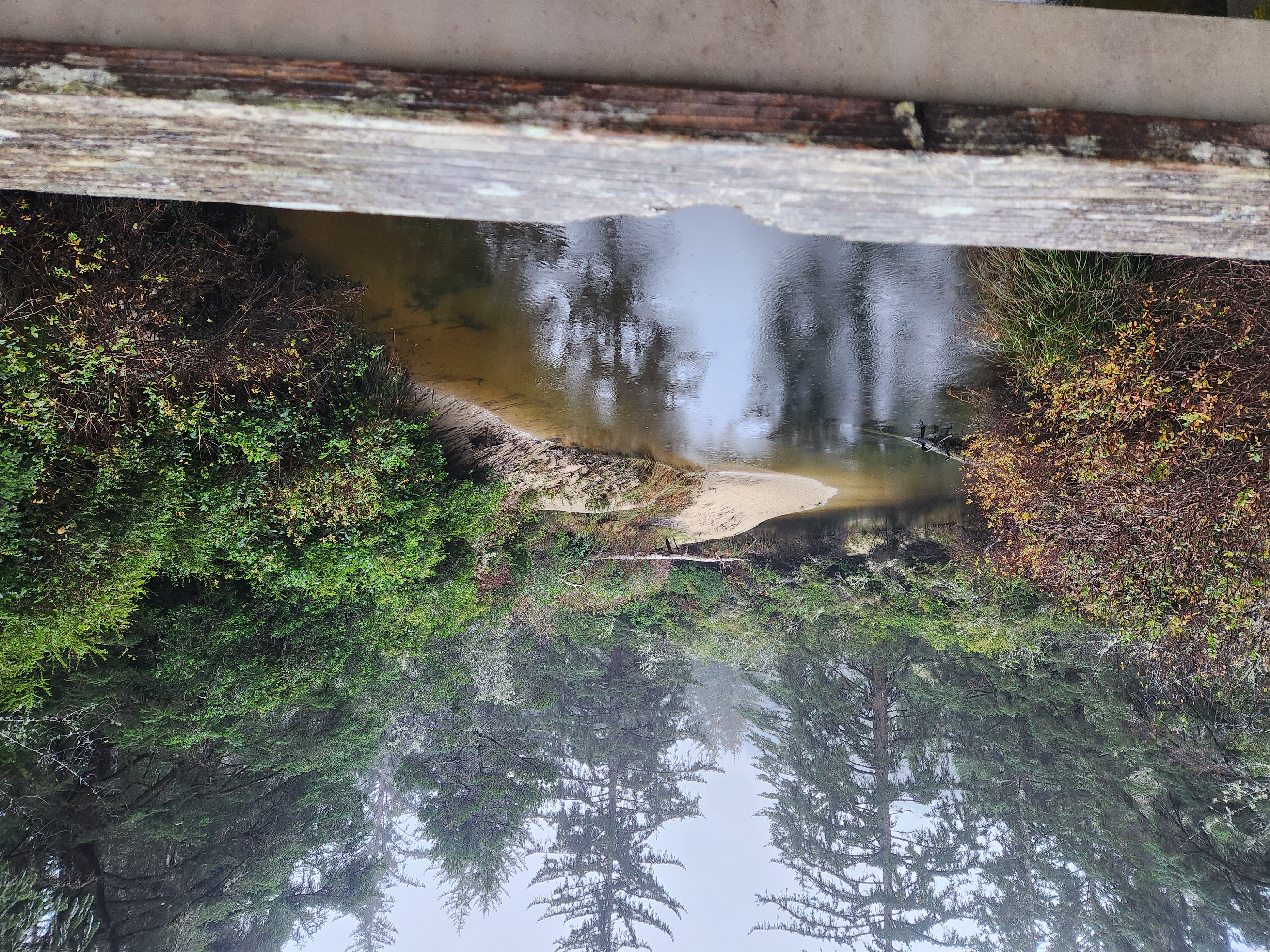 Photos · Dec 21, 2025