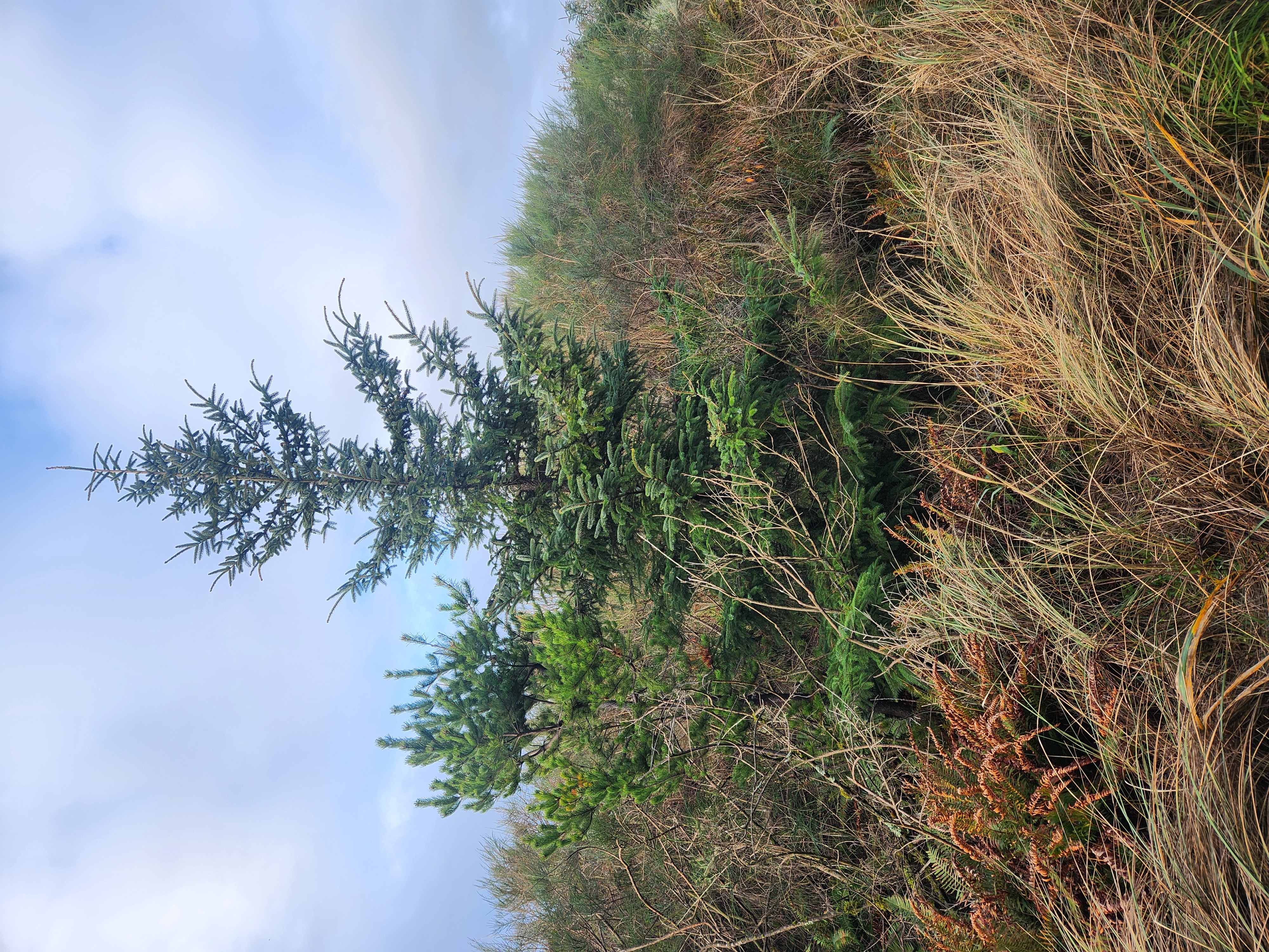 Photos · Dec 24, 2025