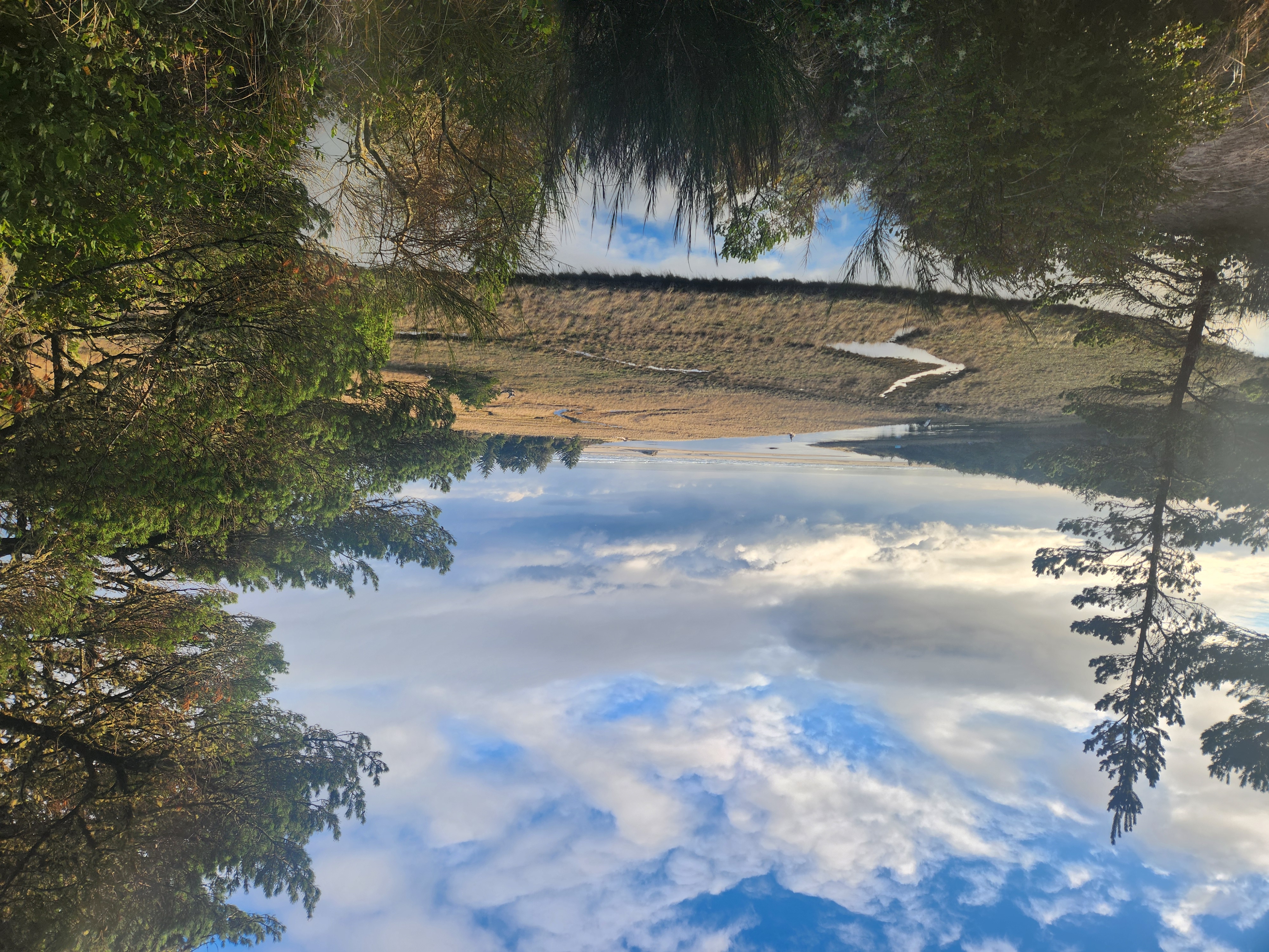 Photos · Dec 24, 2025
