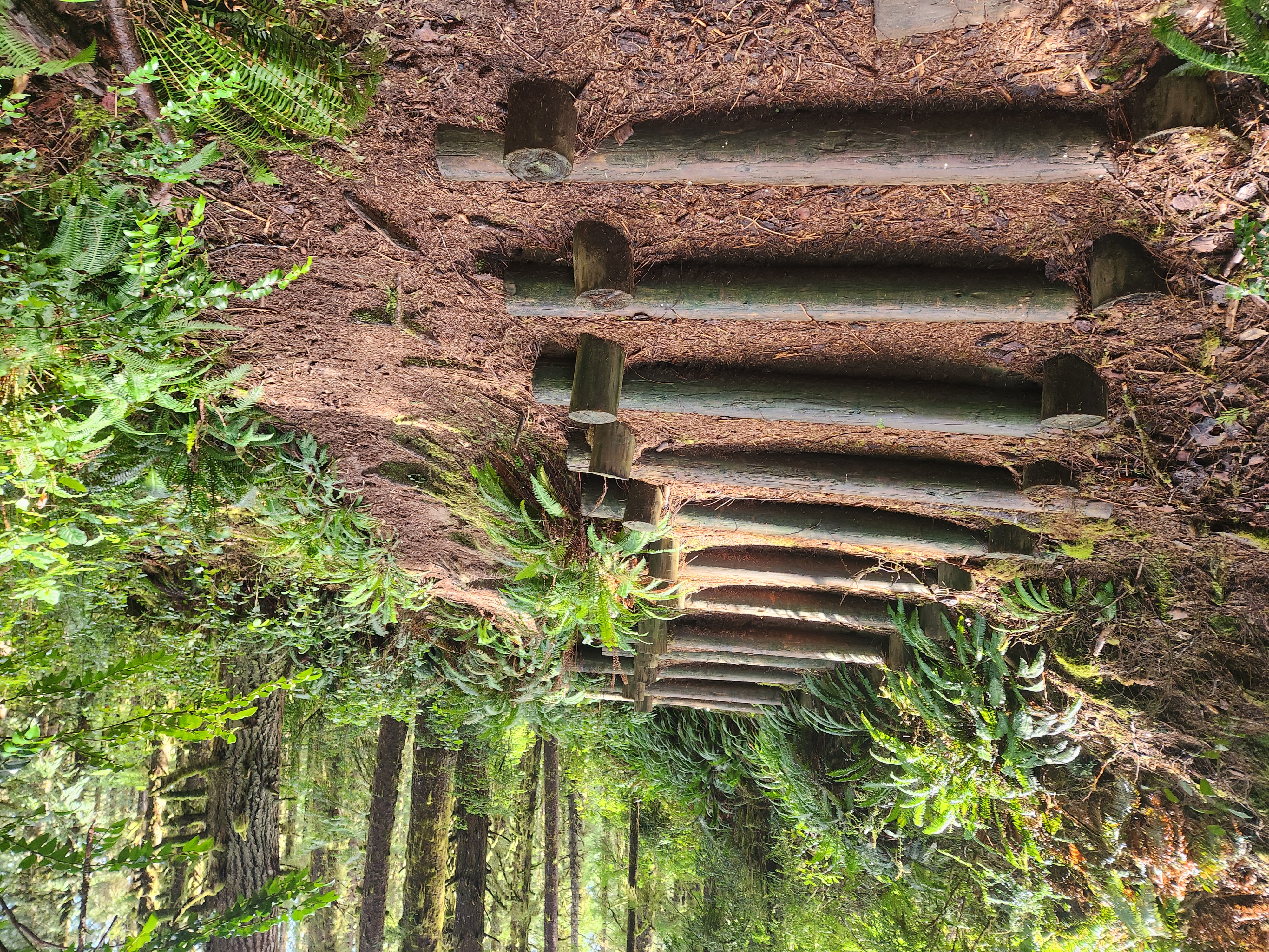 Siltcoos Lake Hike