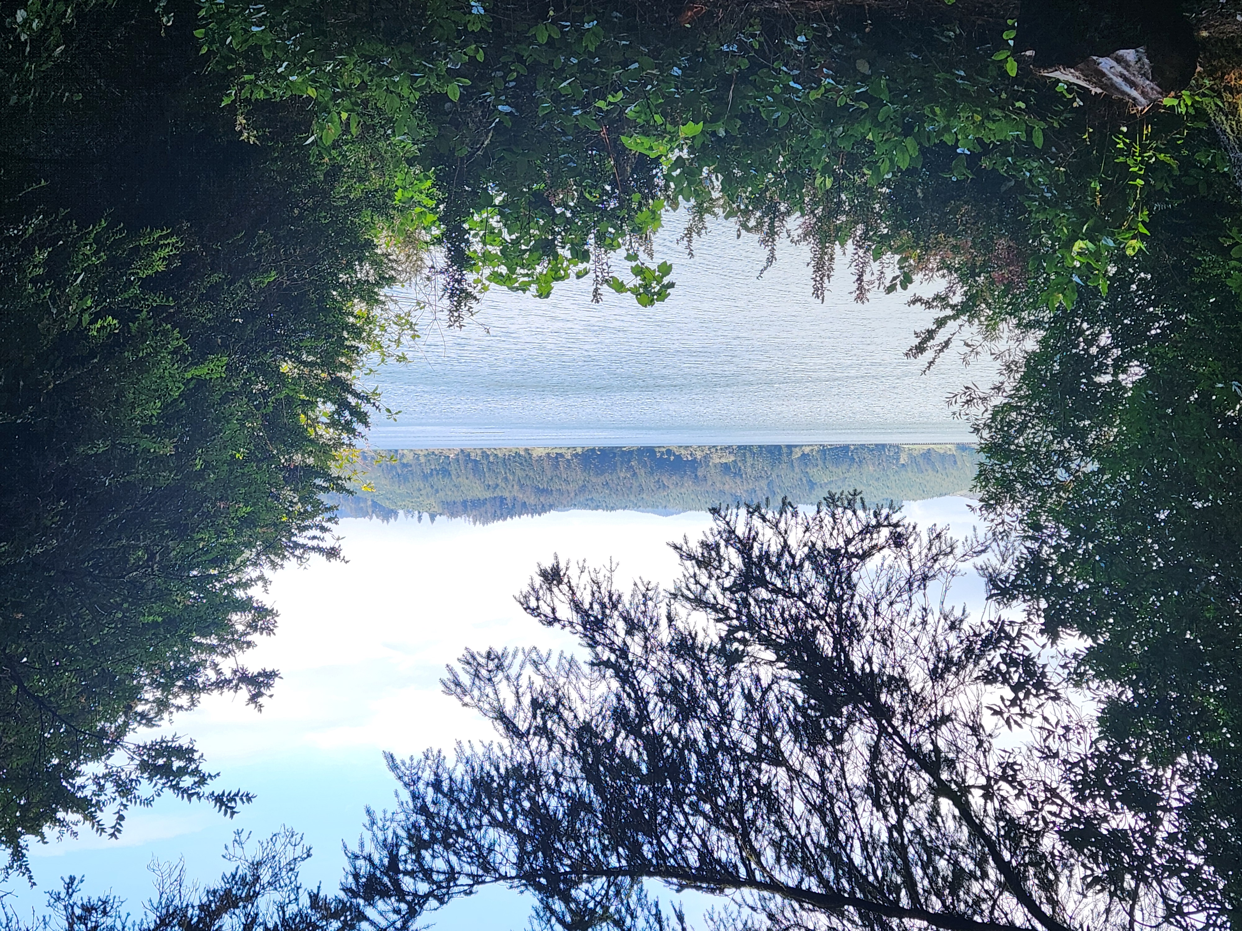 Siltcoos Lake Hike