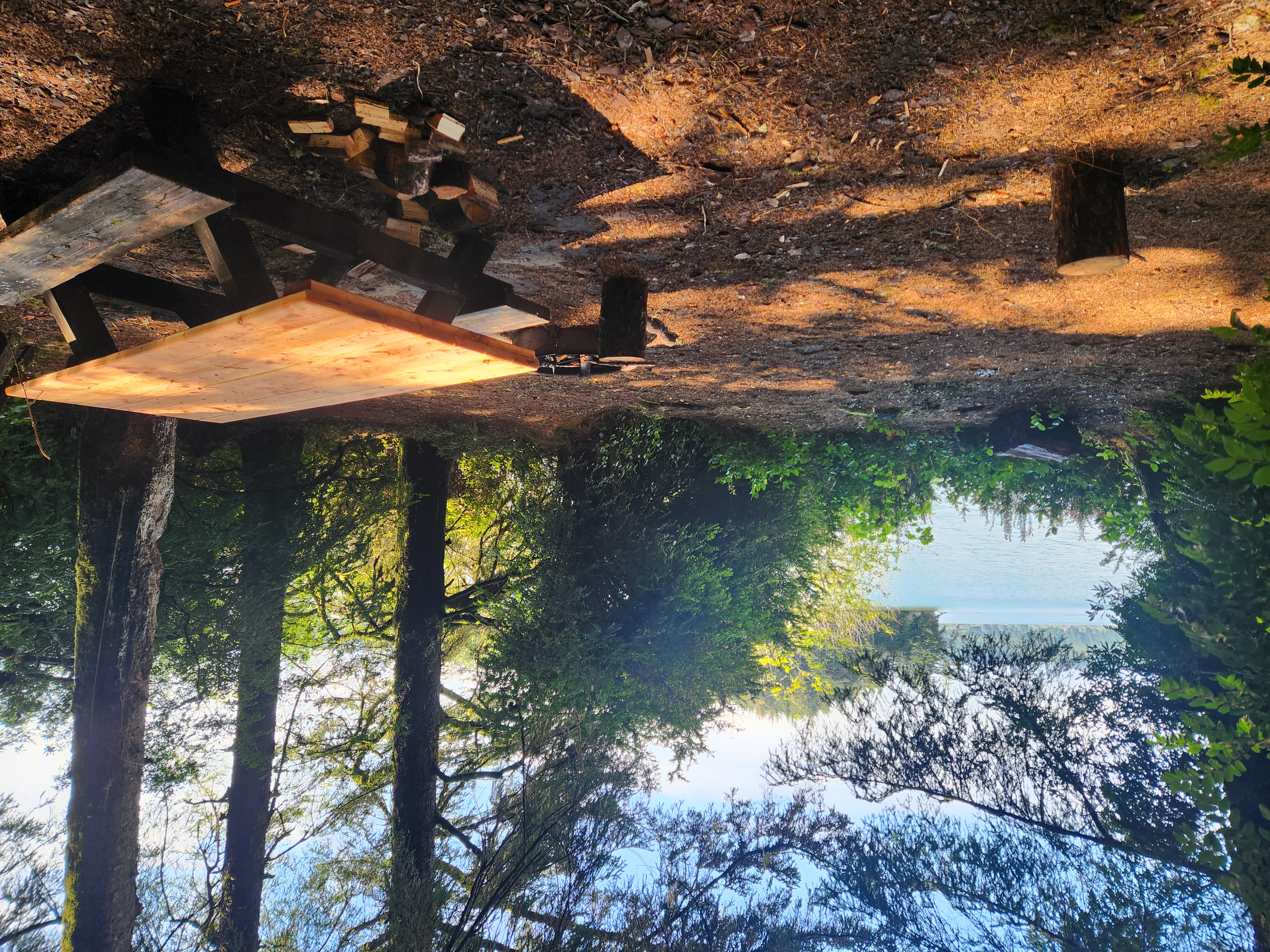 Siltcoos Lake Hike