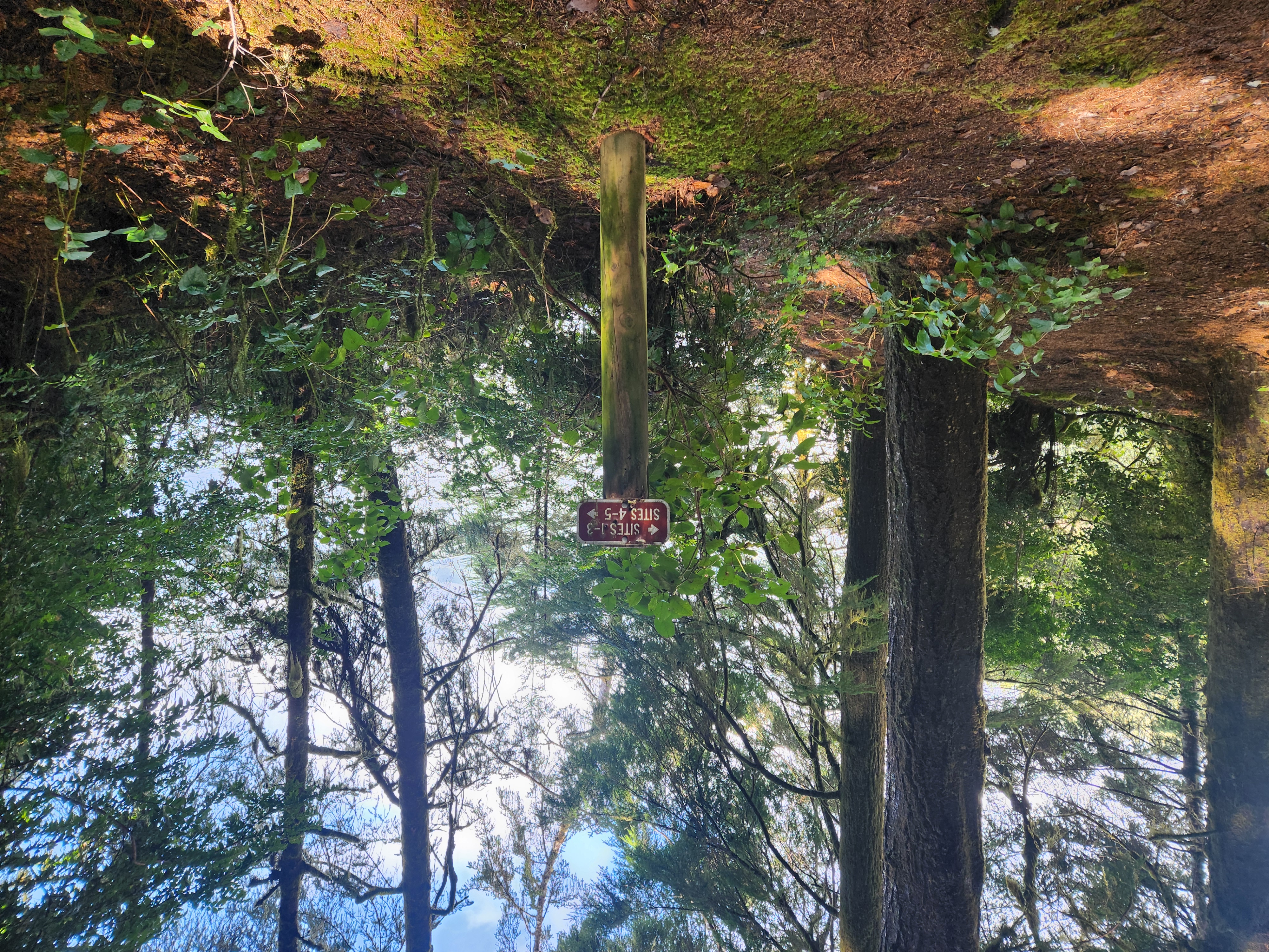 Siltcoos Lake Hike