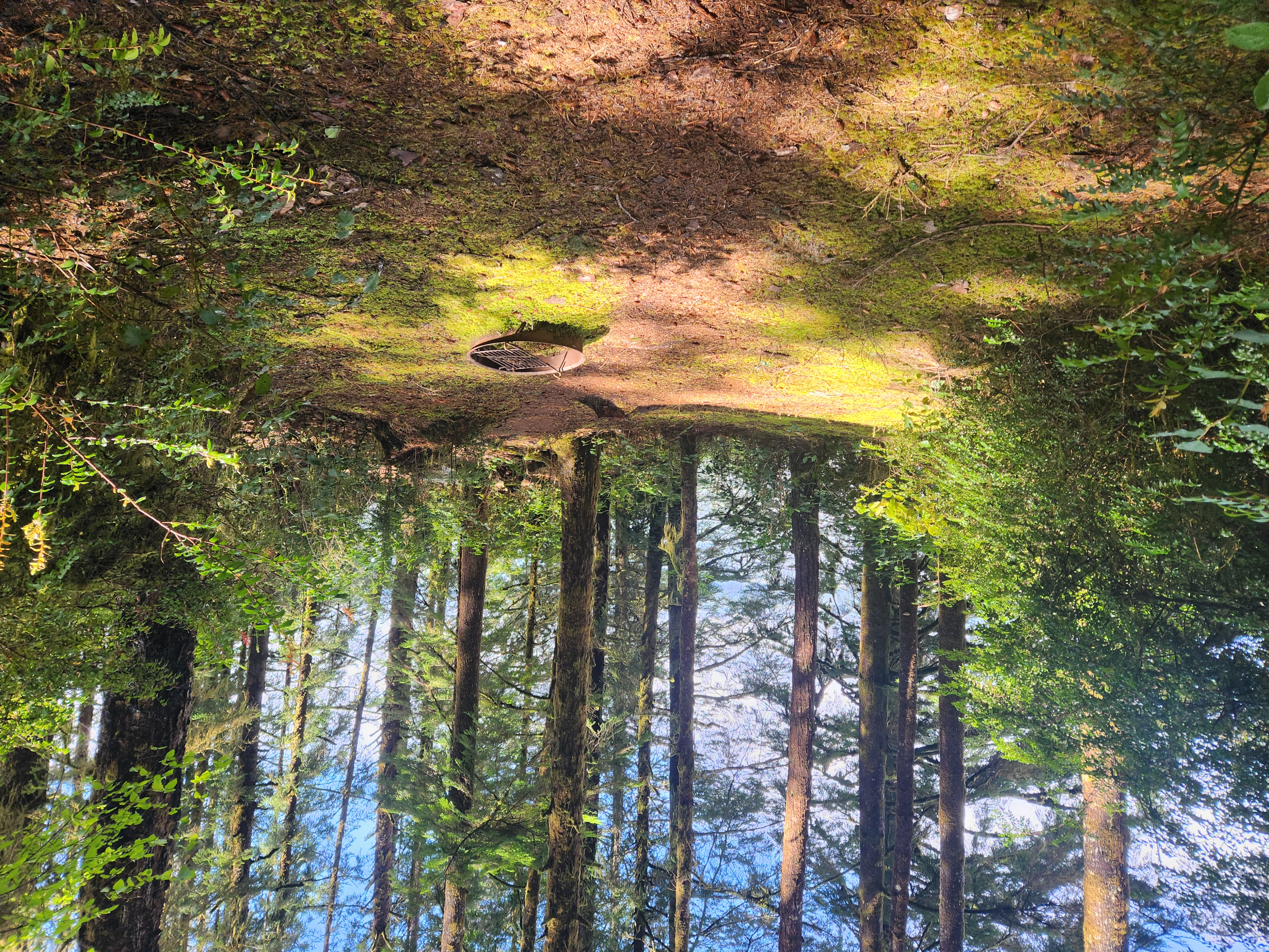 Siltcoos Lake Hike