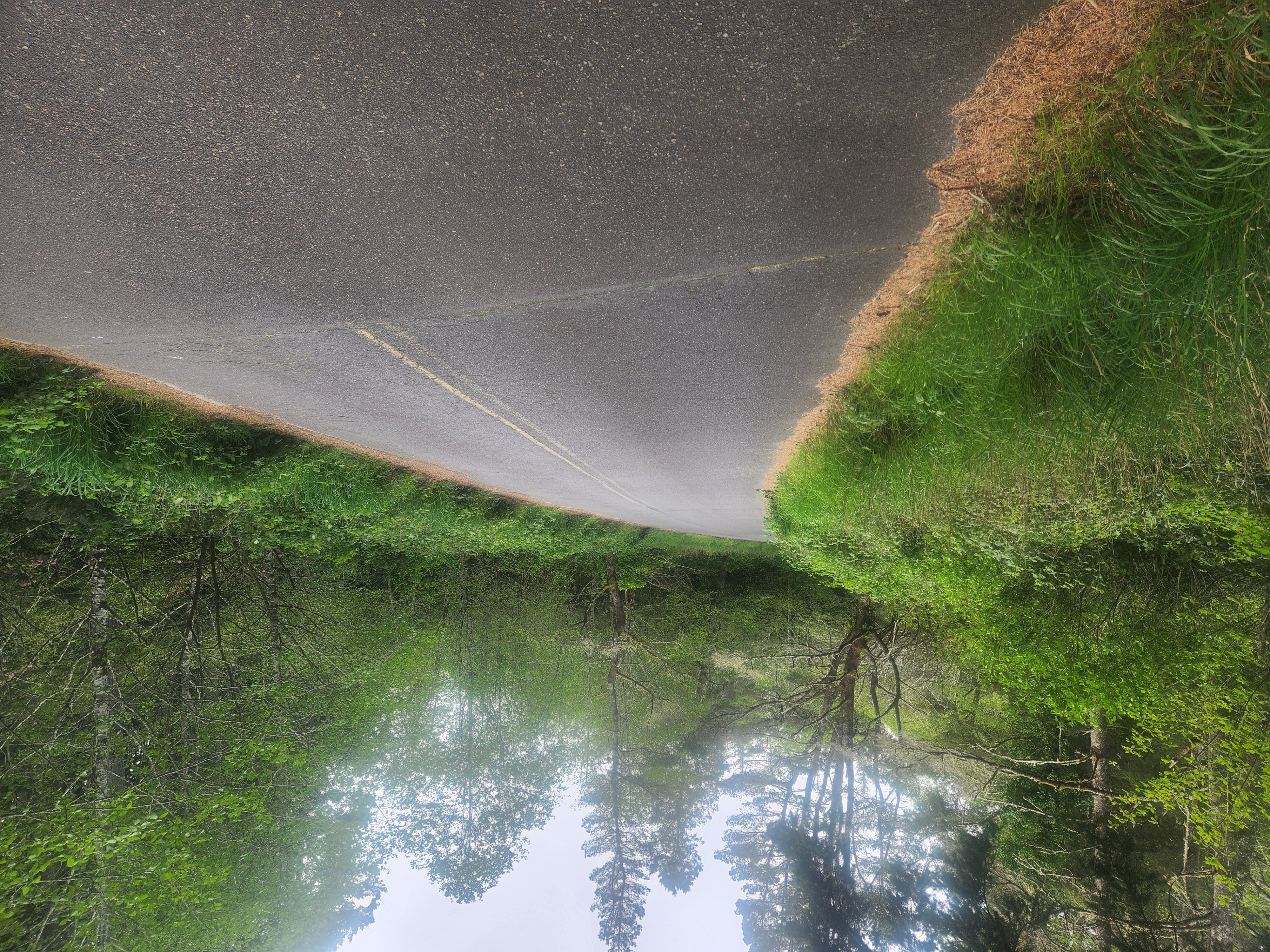 Summer at Siltcoos - Day 1