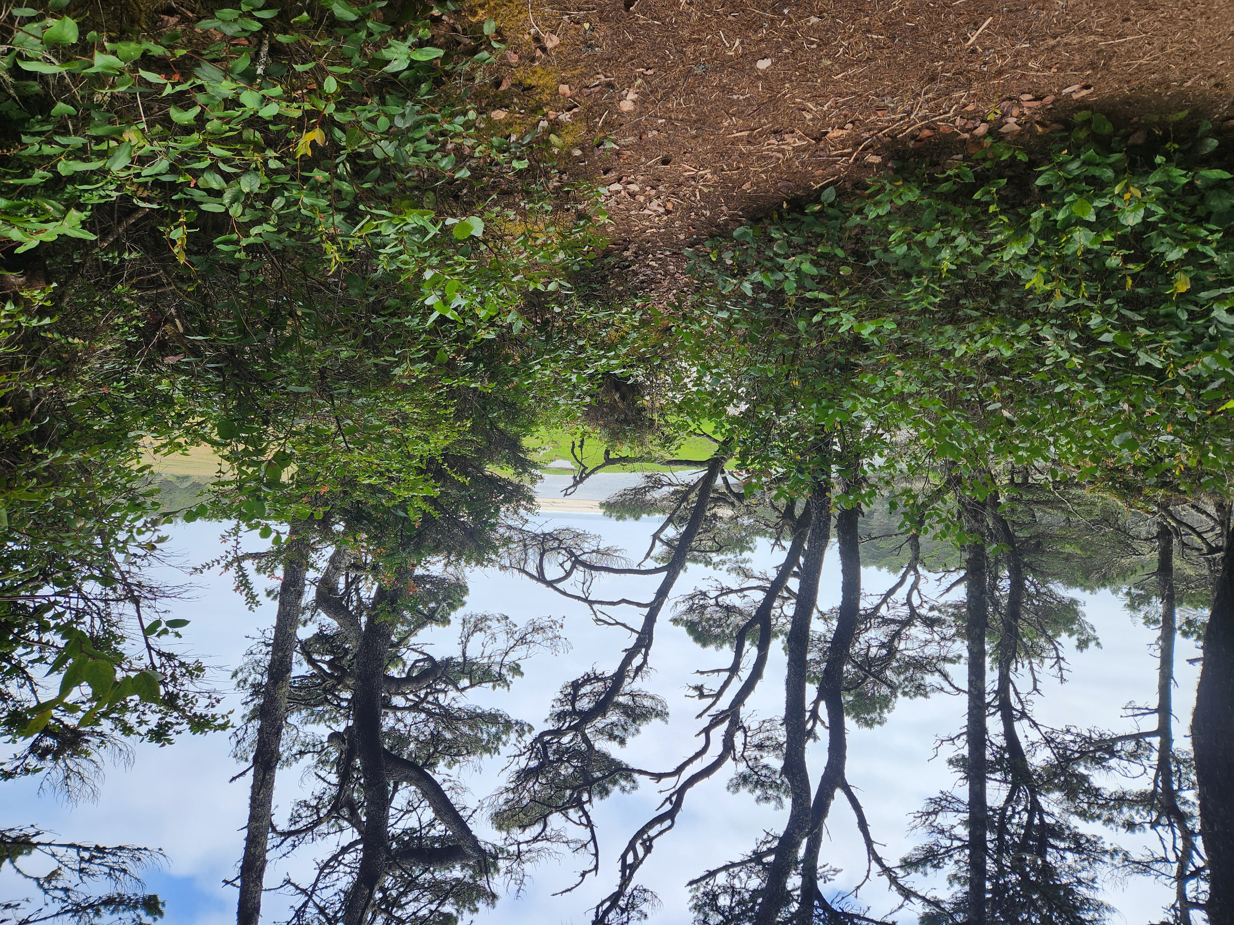 Summer at Siltcoos - Day 1