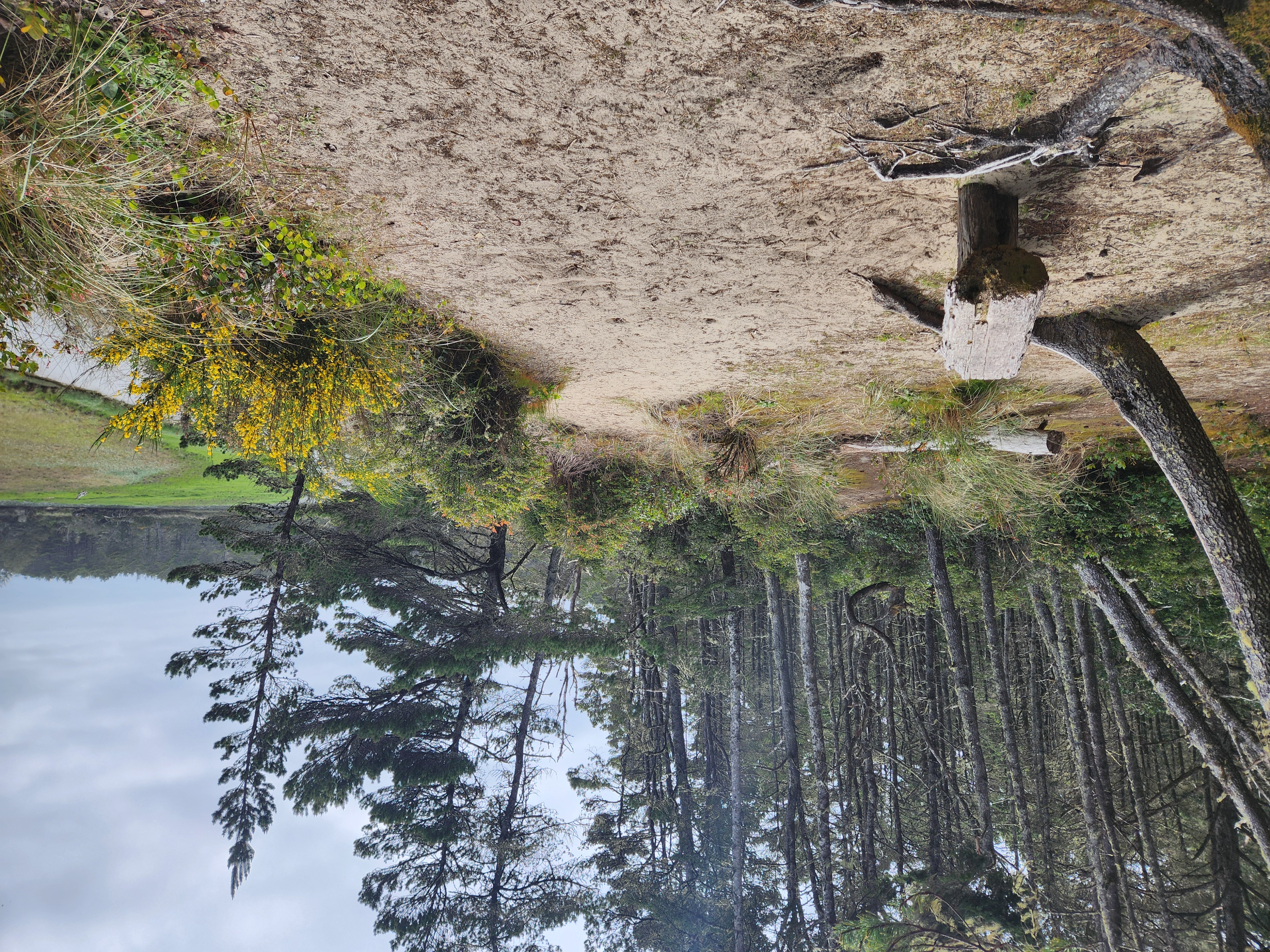 Summer at Siltcoos - Day 1