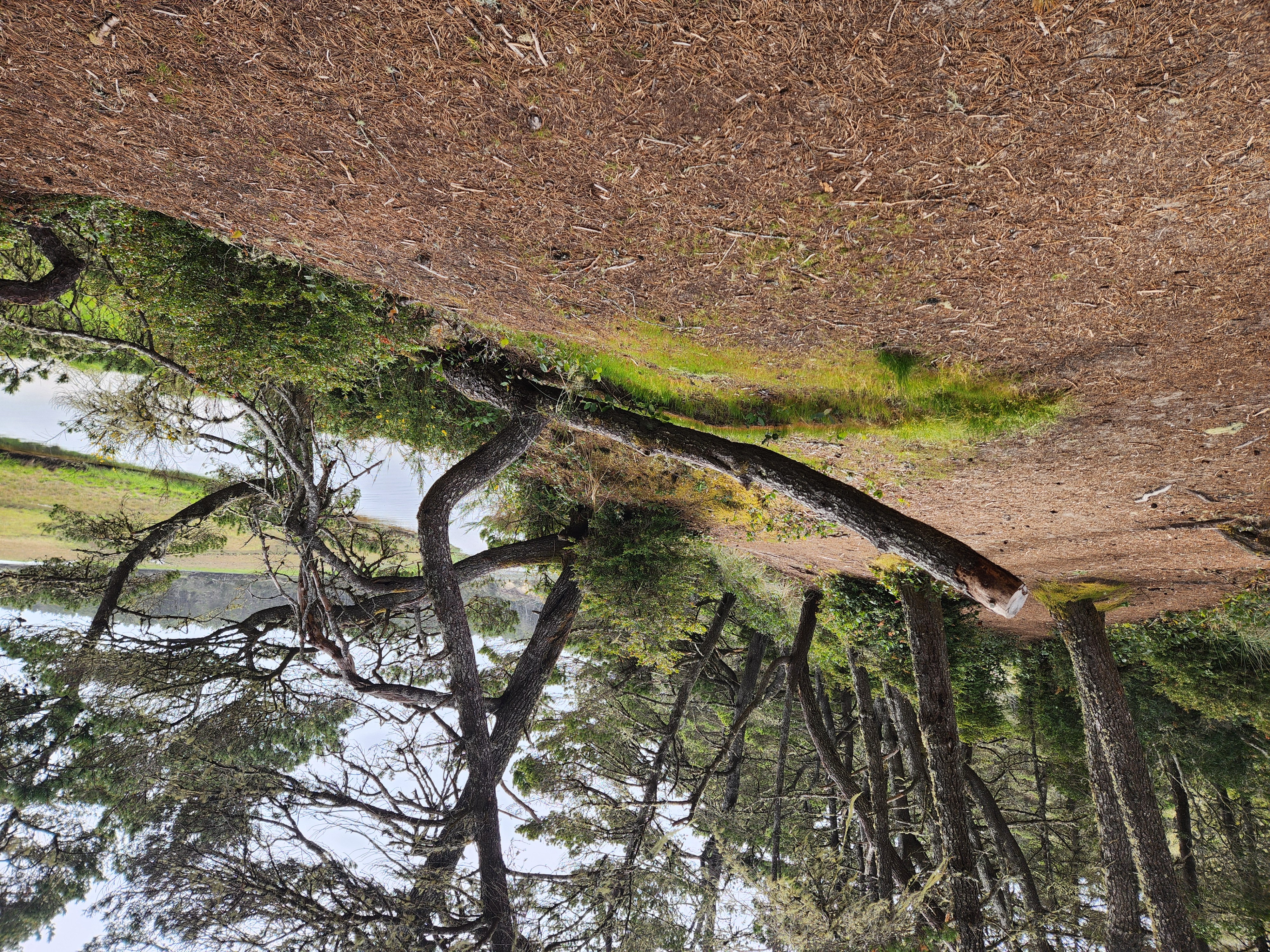 Summer at Siltcoos - Day 1