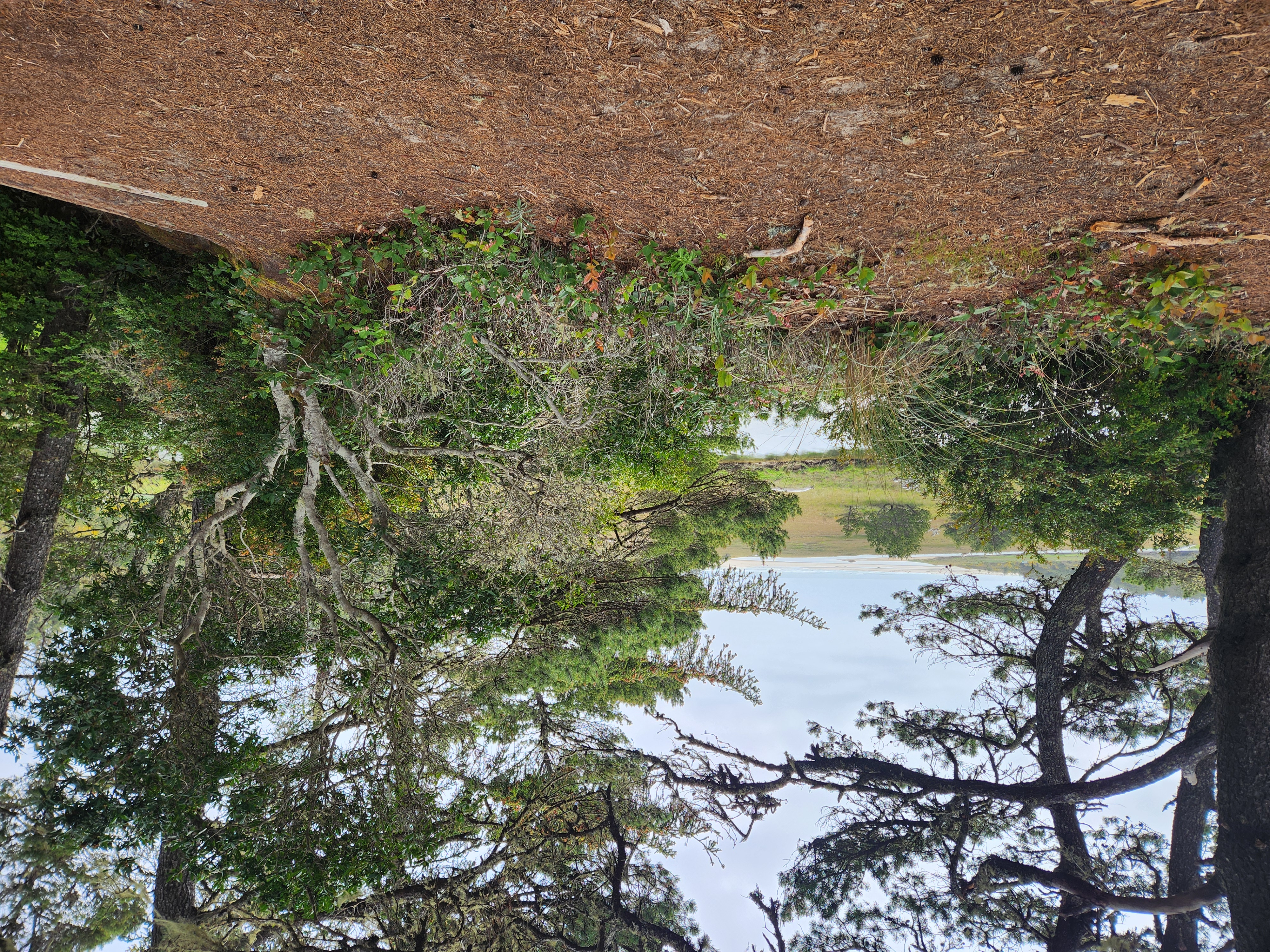 Summer at Siltcoos - Day 1
