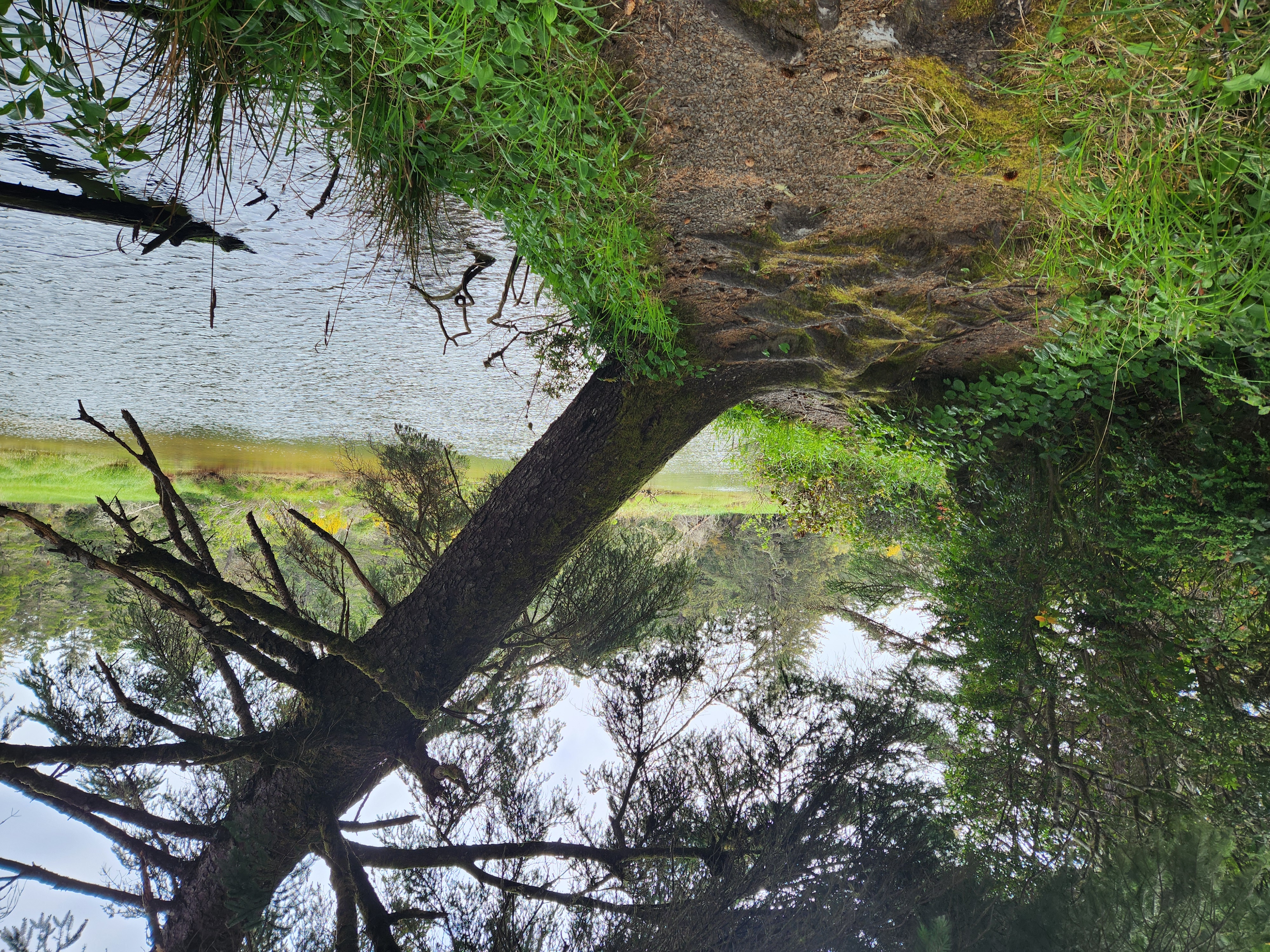 Summer at Siltcoos - Day 1