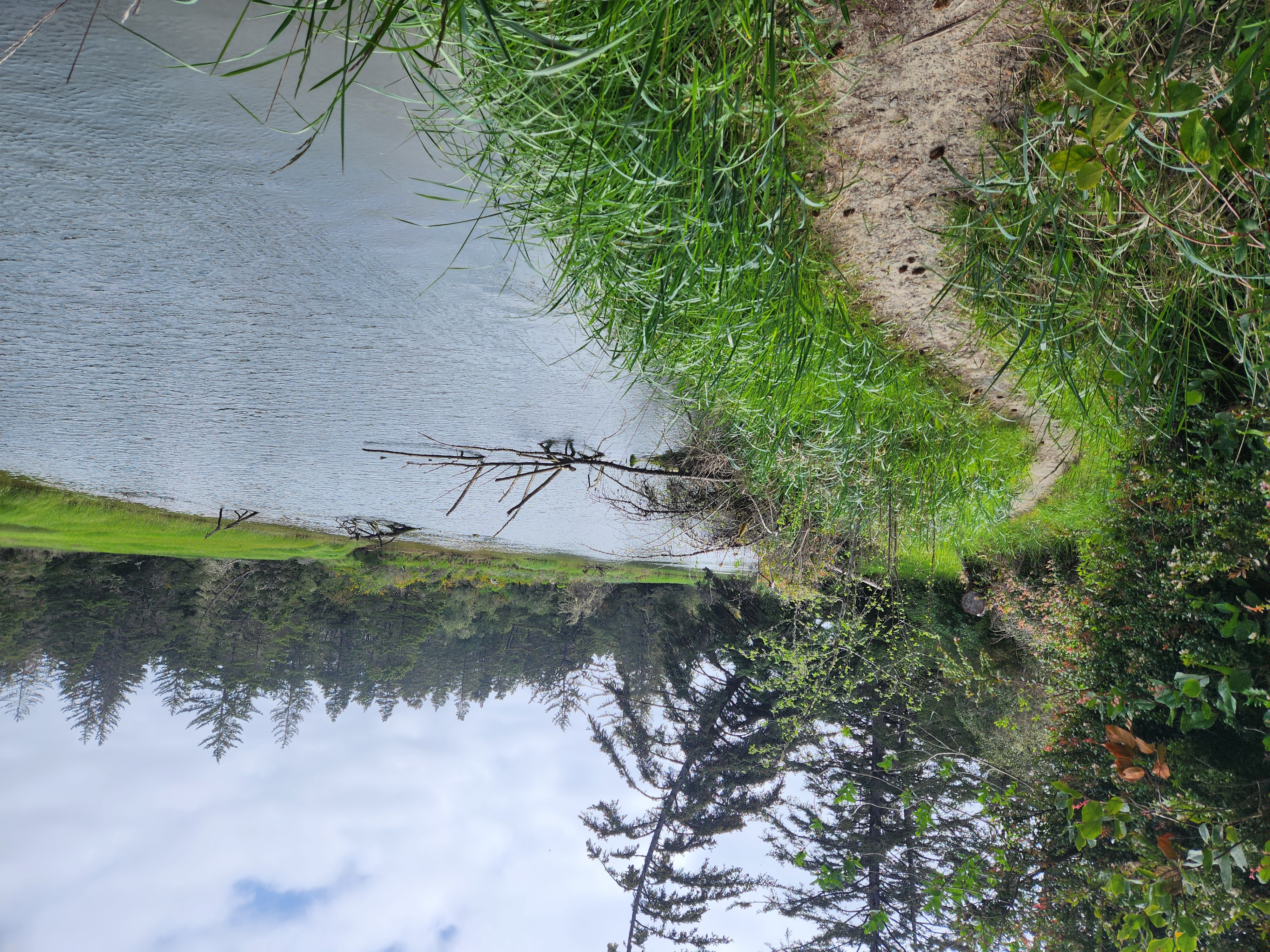 Summer at Siltcoos - Day 1