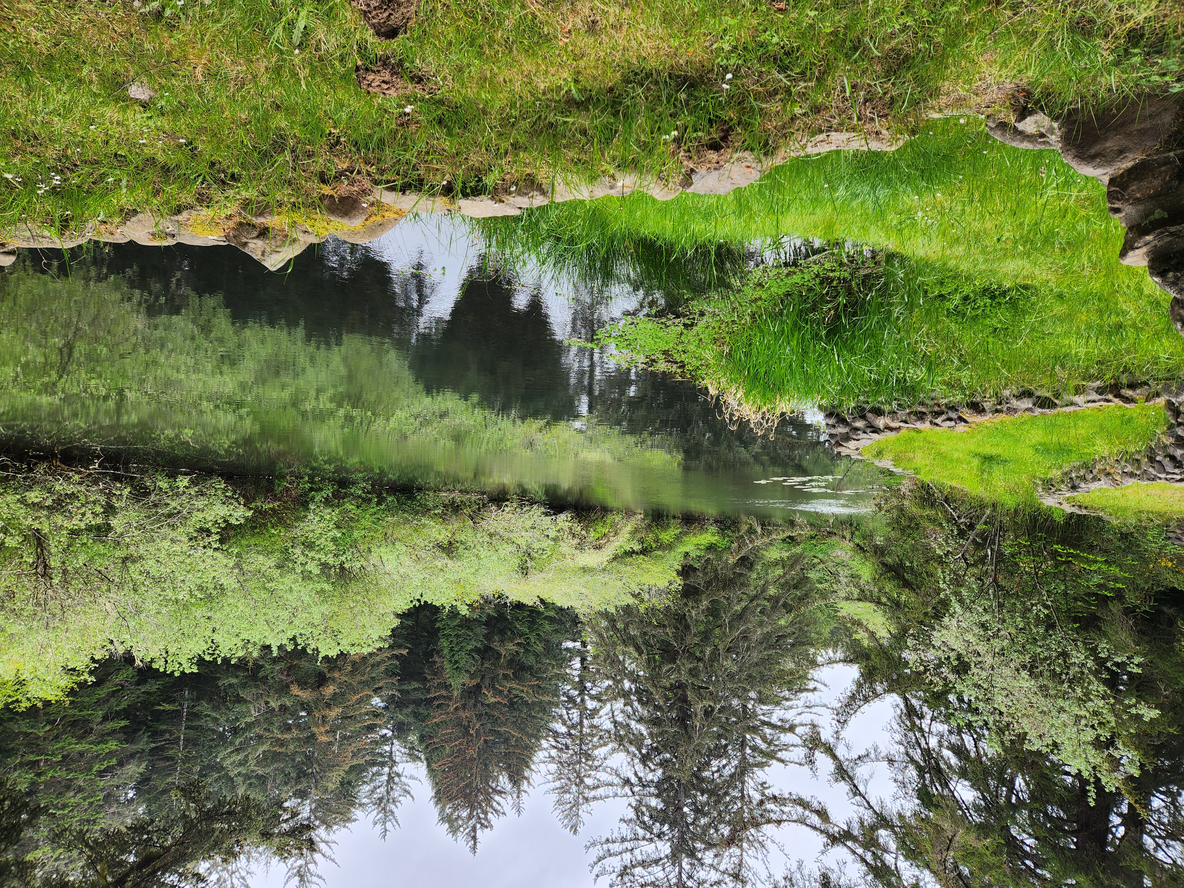 Summer at Siltcoos - Day 1