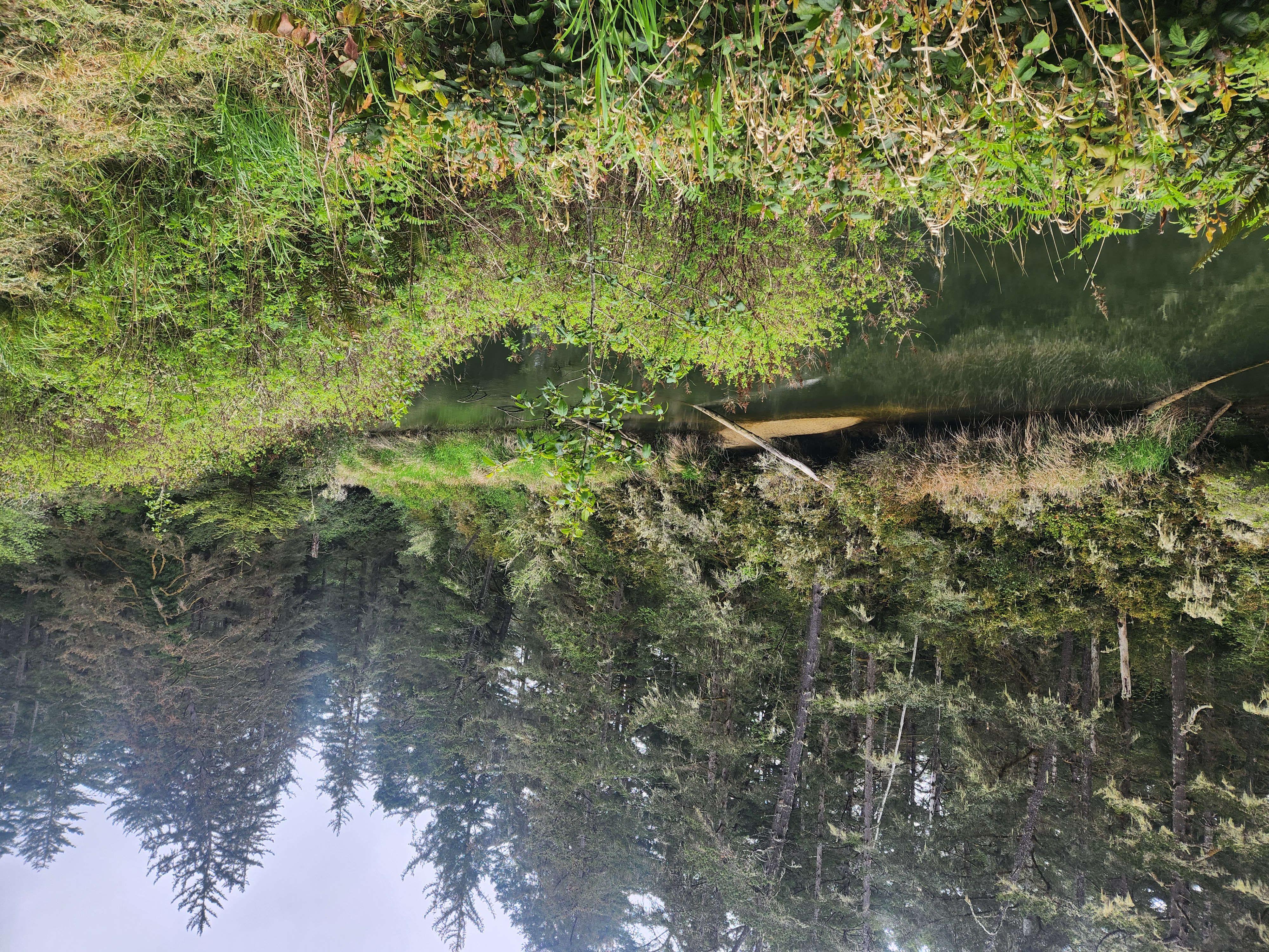 Summer at Siltcoos - Day 1