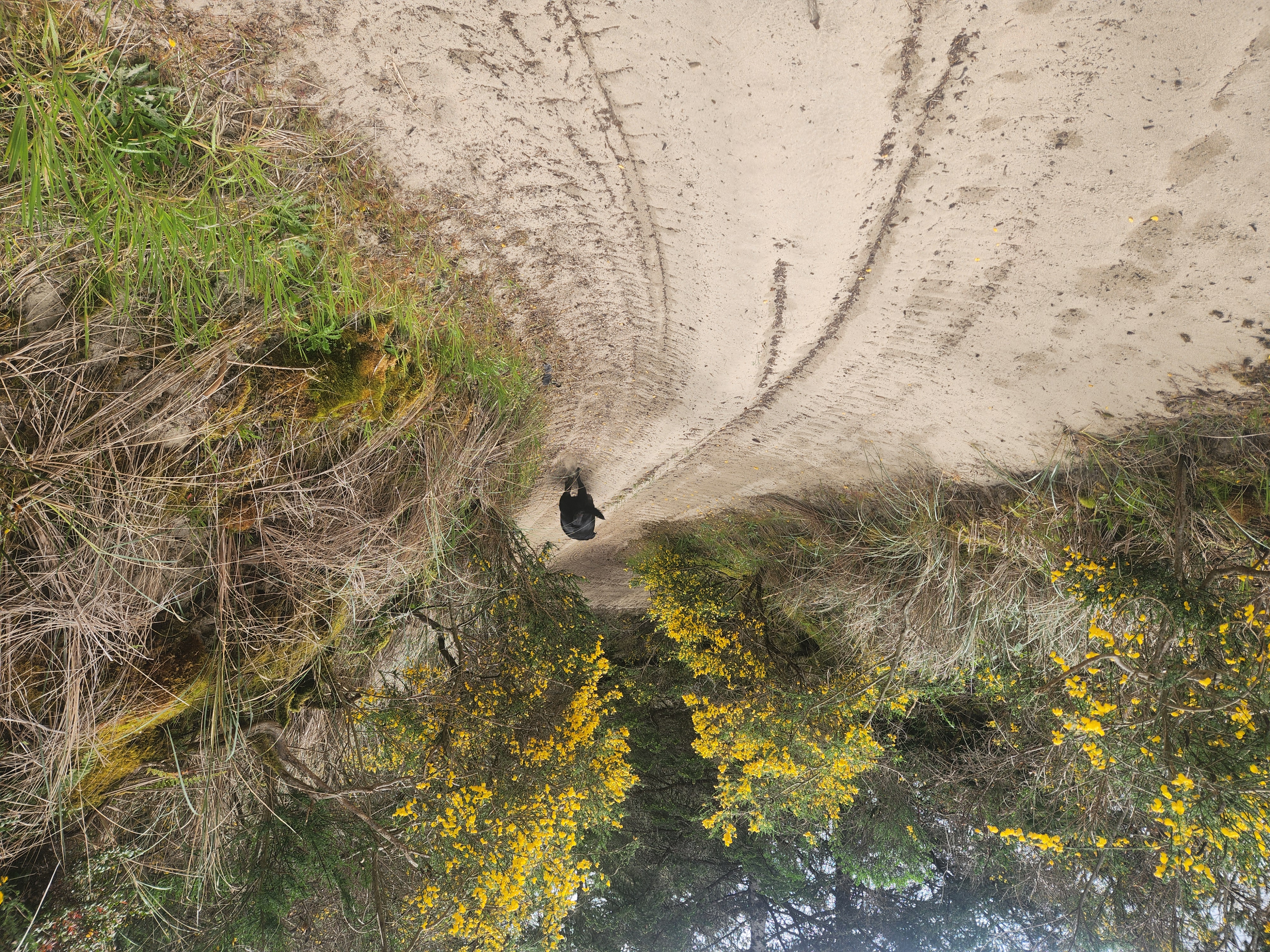 Summer at Siltcoos - Day 4