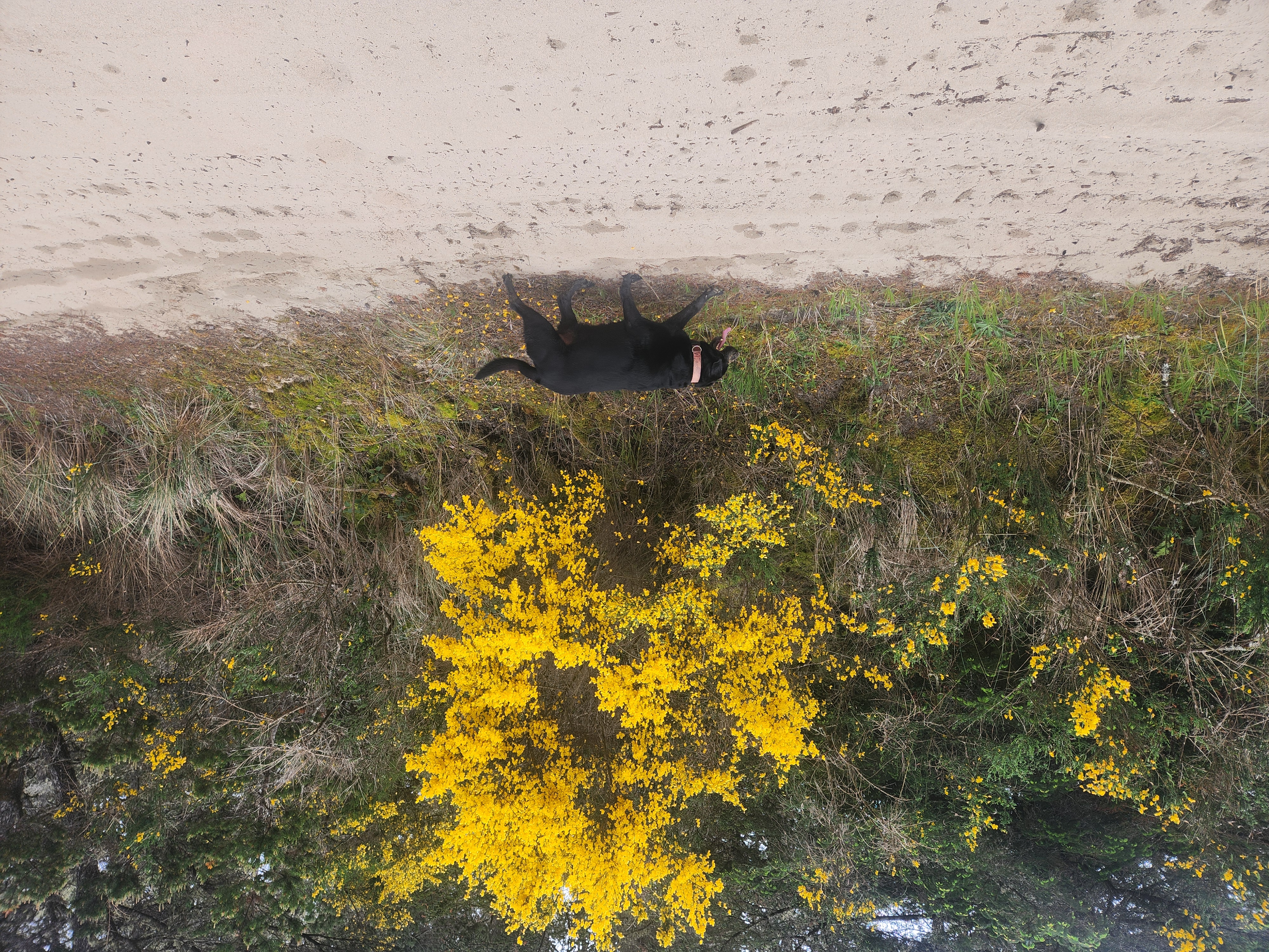 Summer at Siltcoos - Day 4