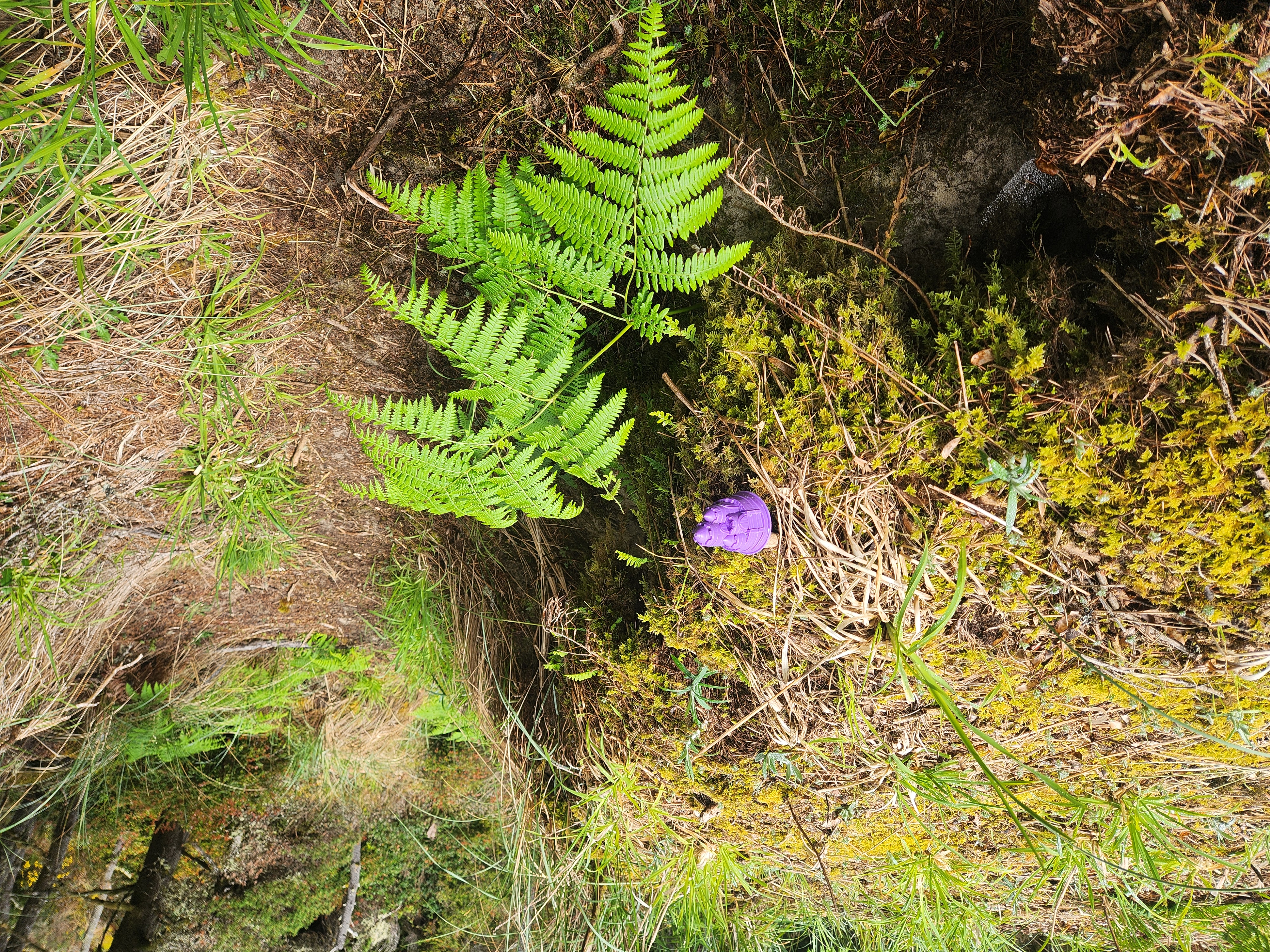 Summer at Siltcoos - Day 4