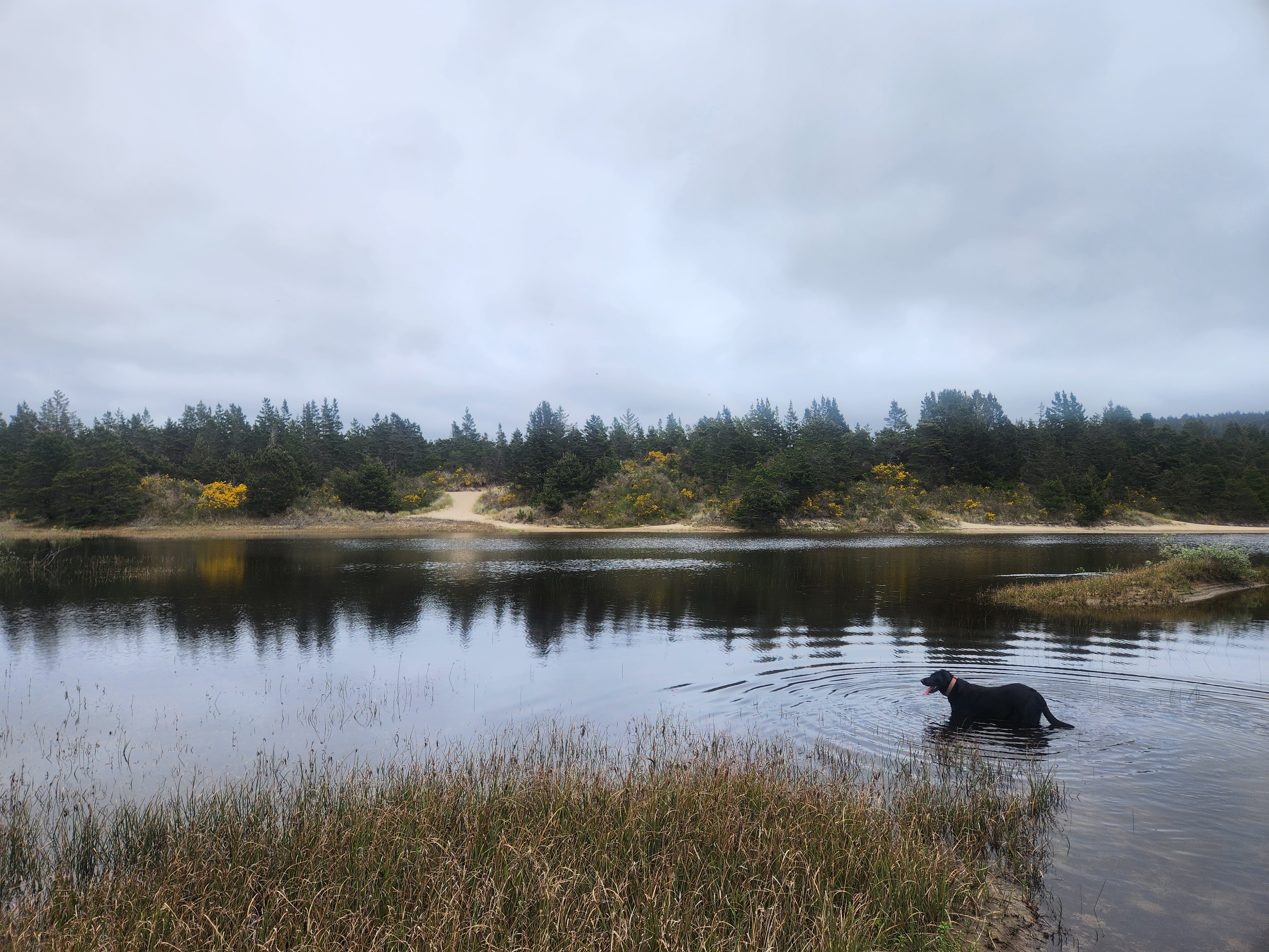 Summer at Siltcoos: Day 6