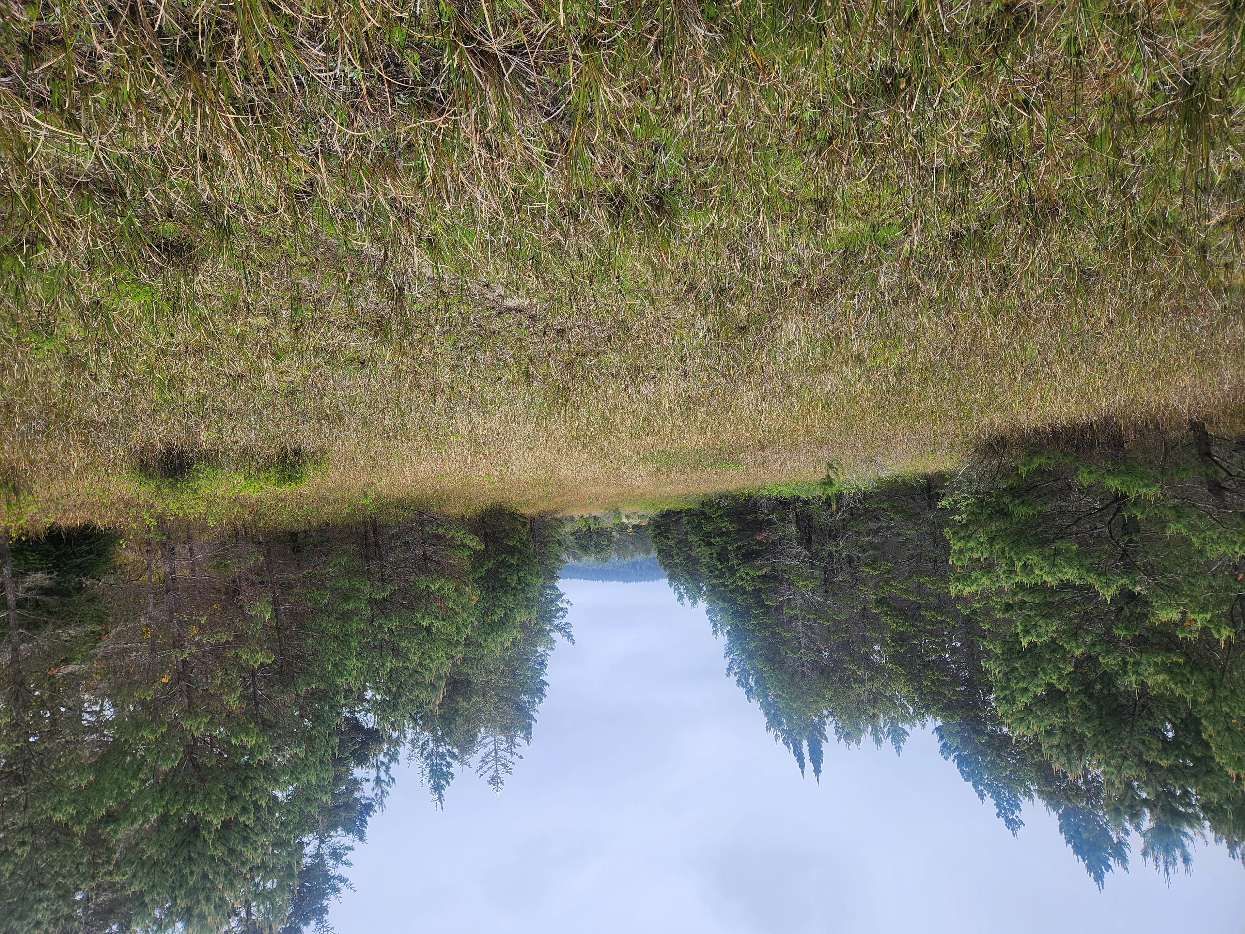Summer at Siltcoos: Day 6