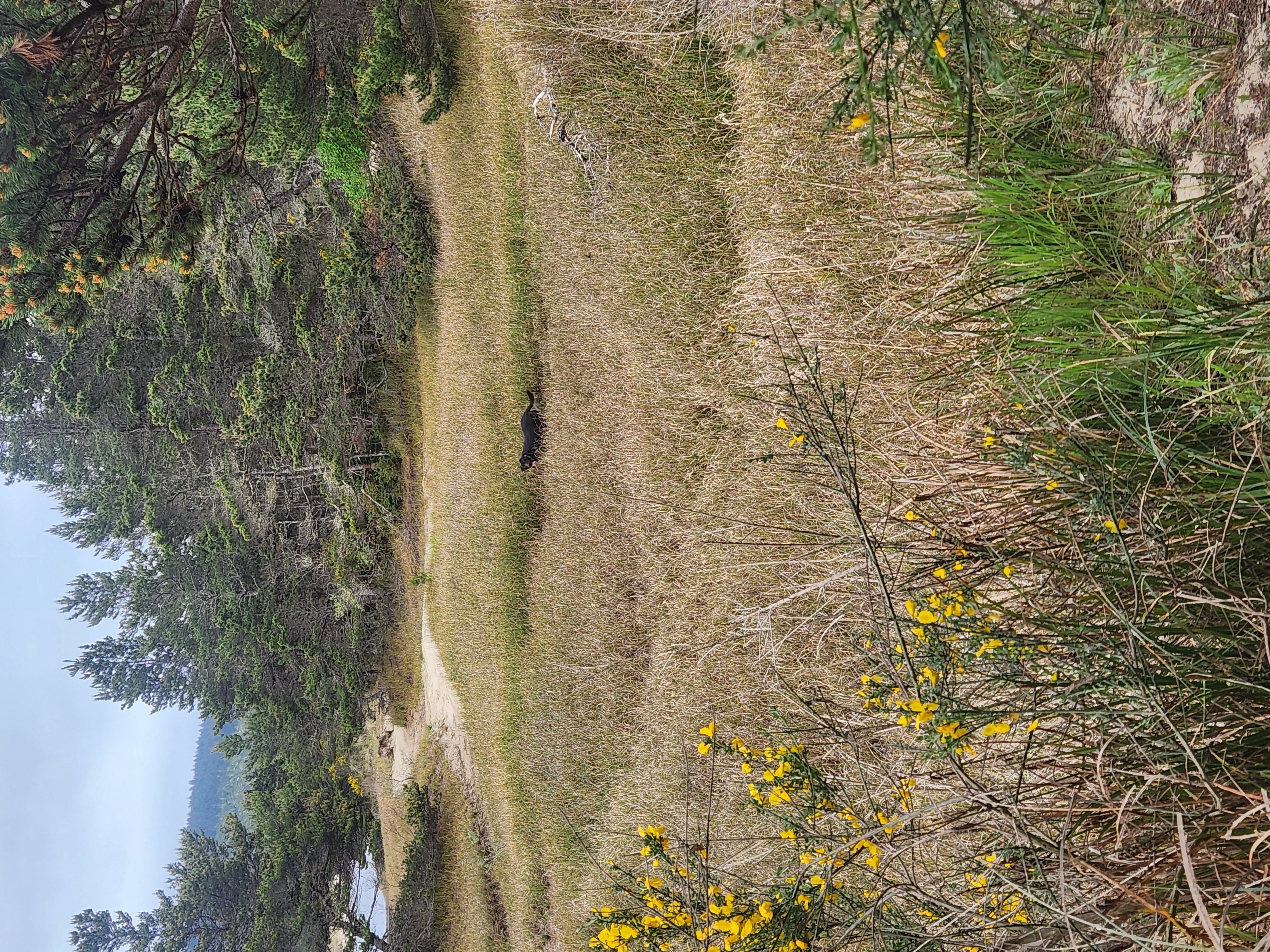 Summer at Siltcoos: Day 6