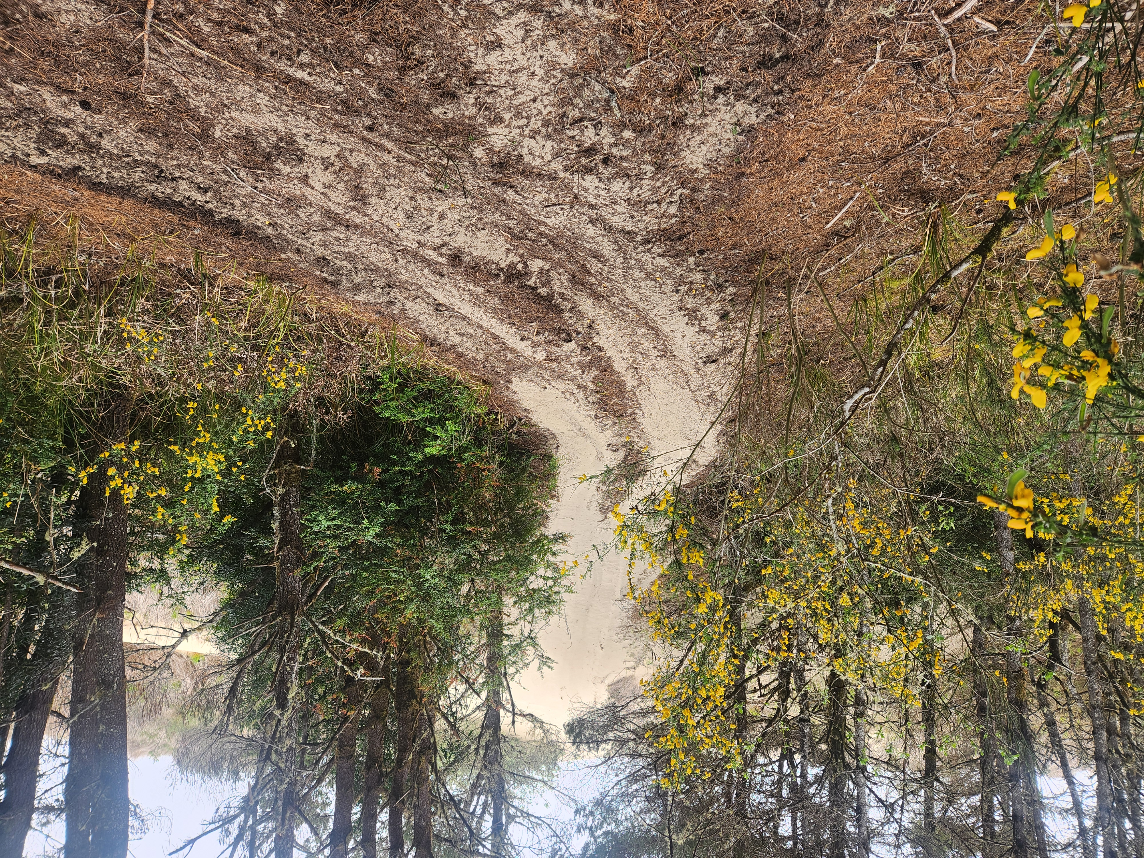 Summer at Siltcoos: Day 6
