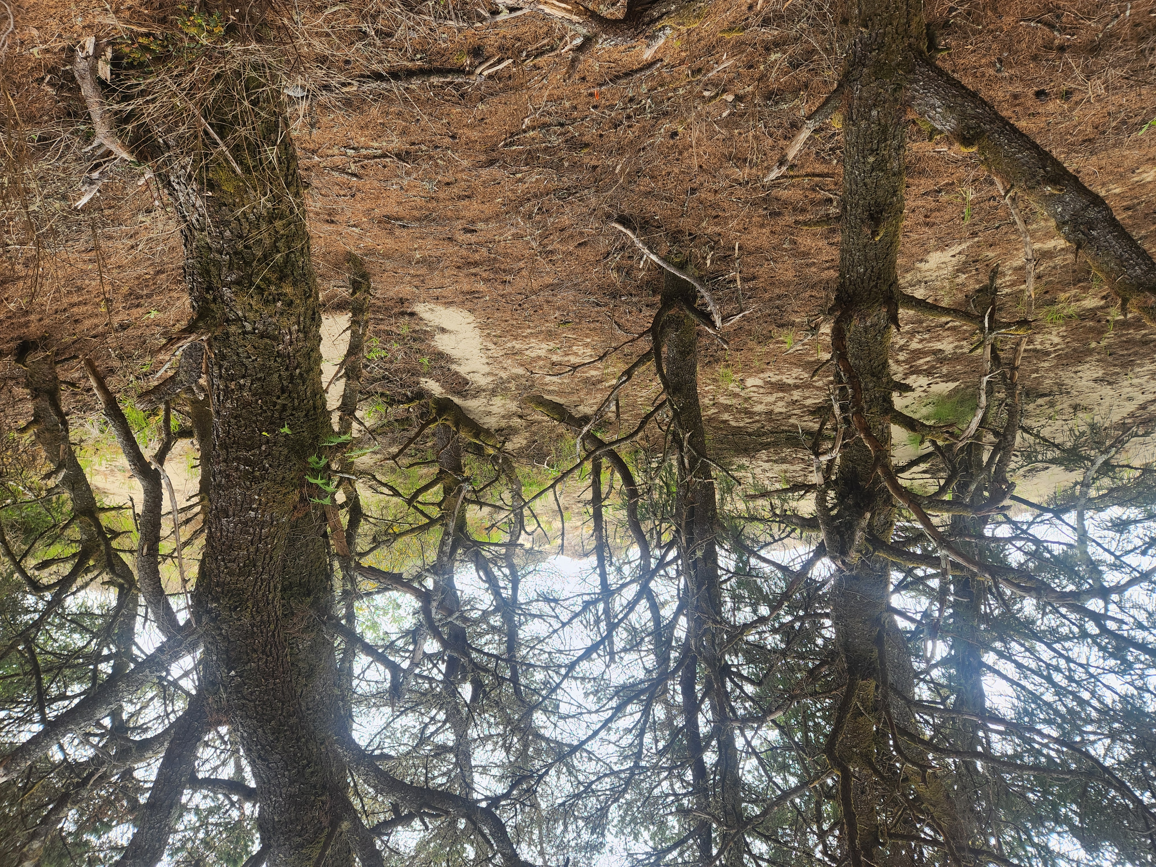 Summer at Siltcoos: Day 6