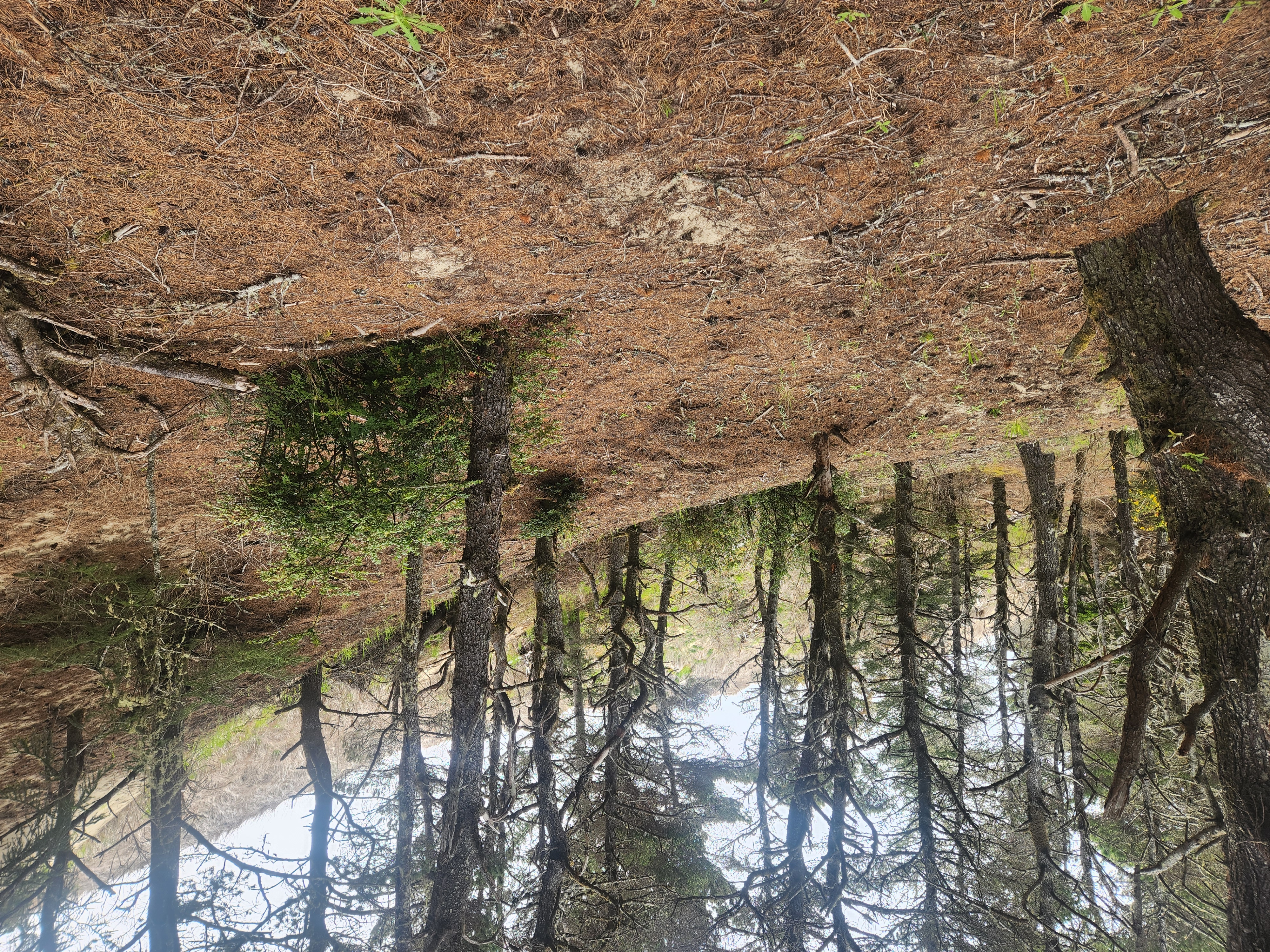 Summer at Siltcoos: Day 6