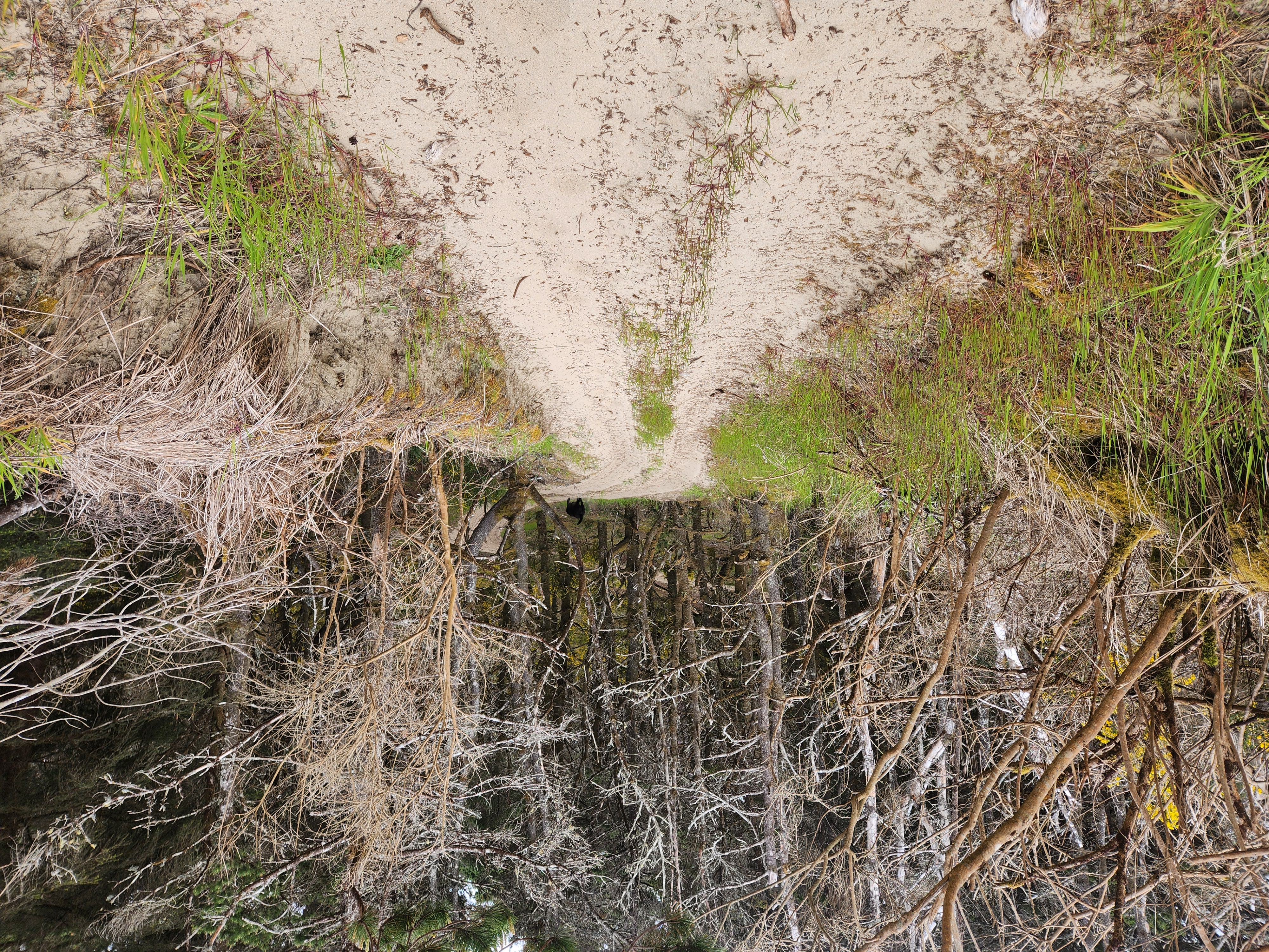 Summer at Siltcoos: Day 6