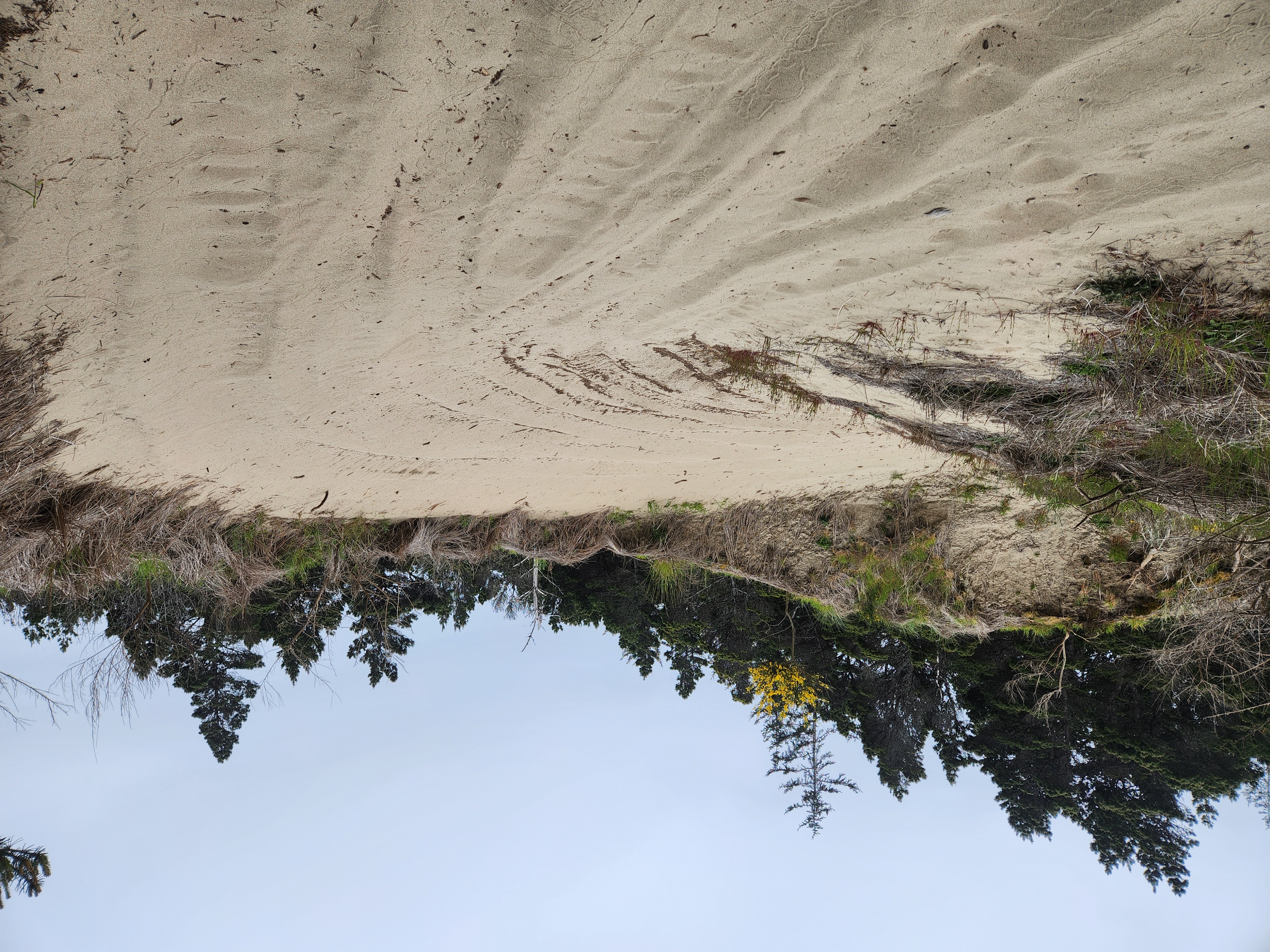 Summer at Siltcoos: Day 6