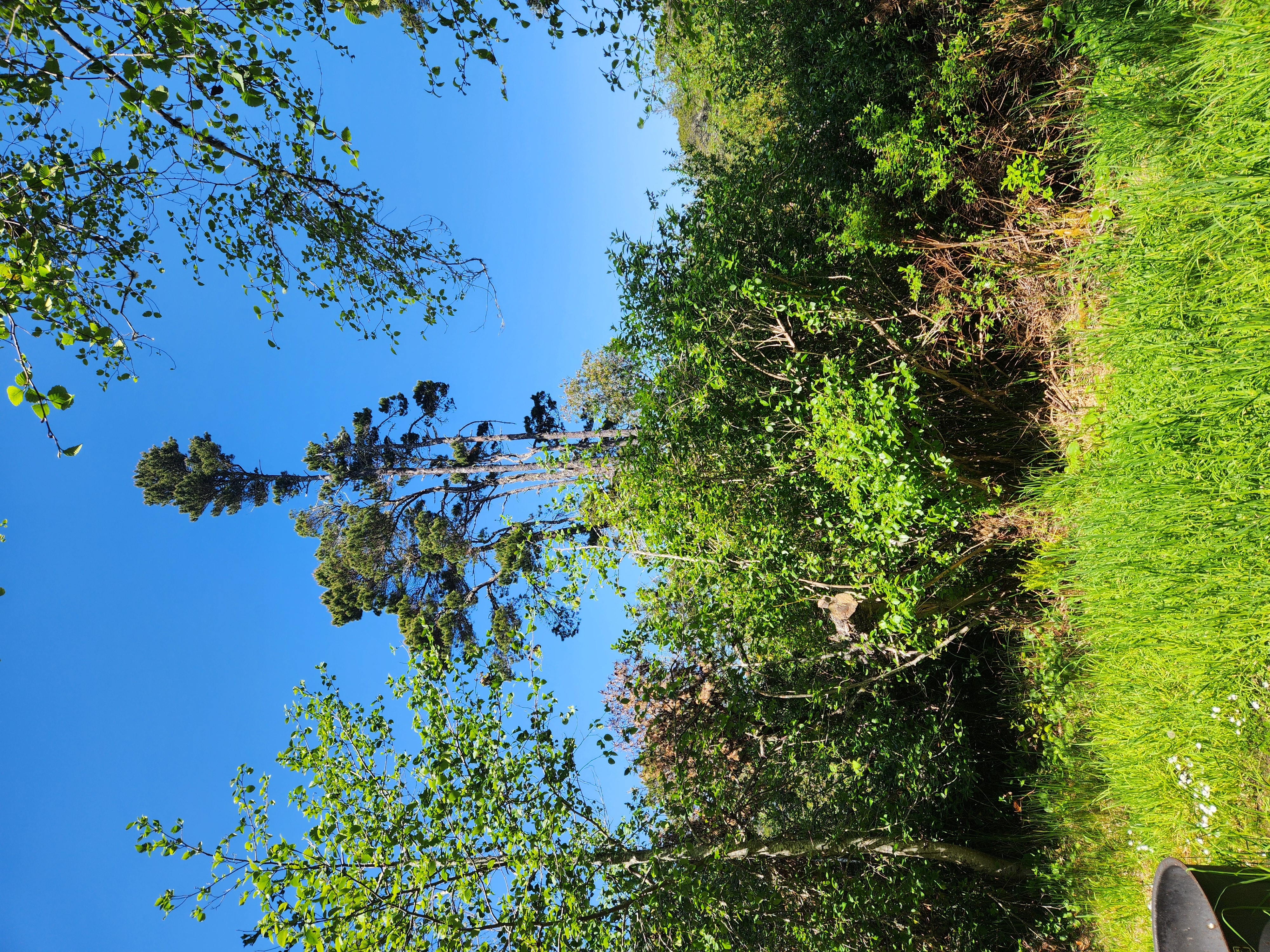 Summer at Siltcoos: Day 7