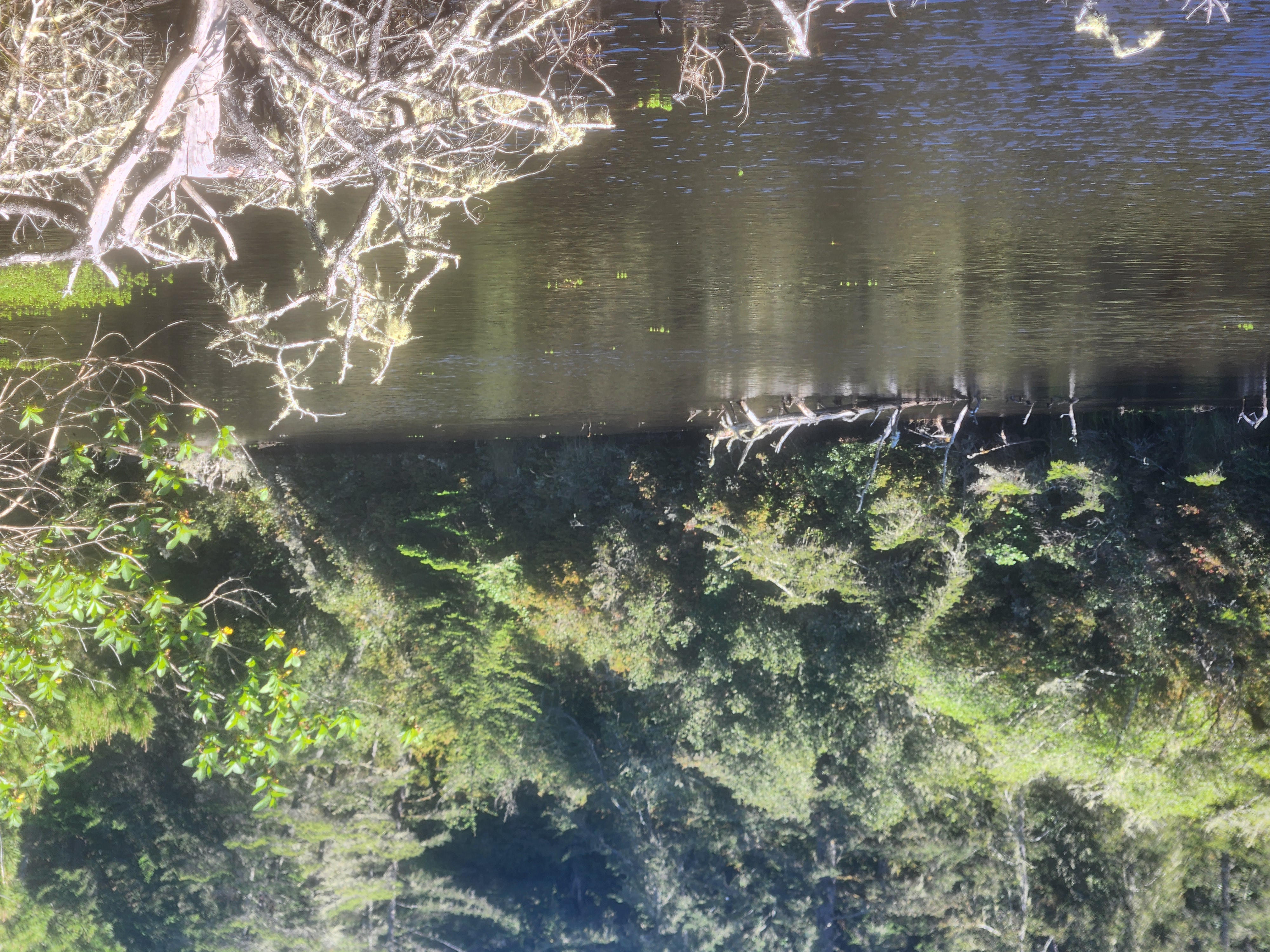 Summer at Siltcoos: Day 7