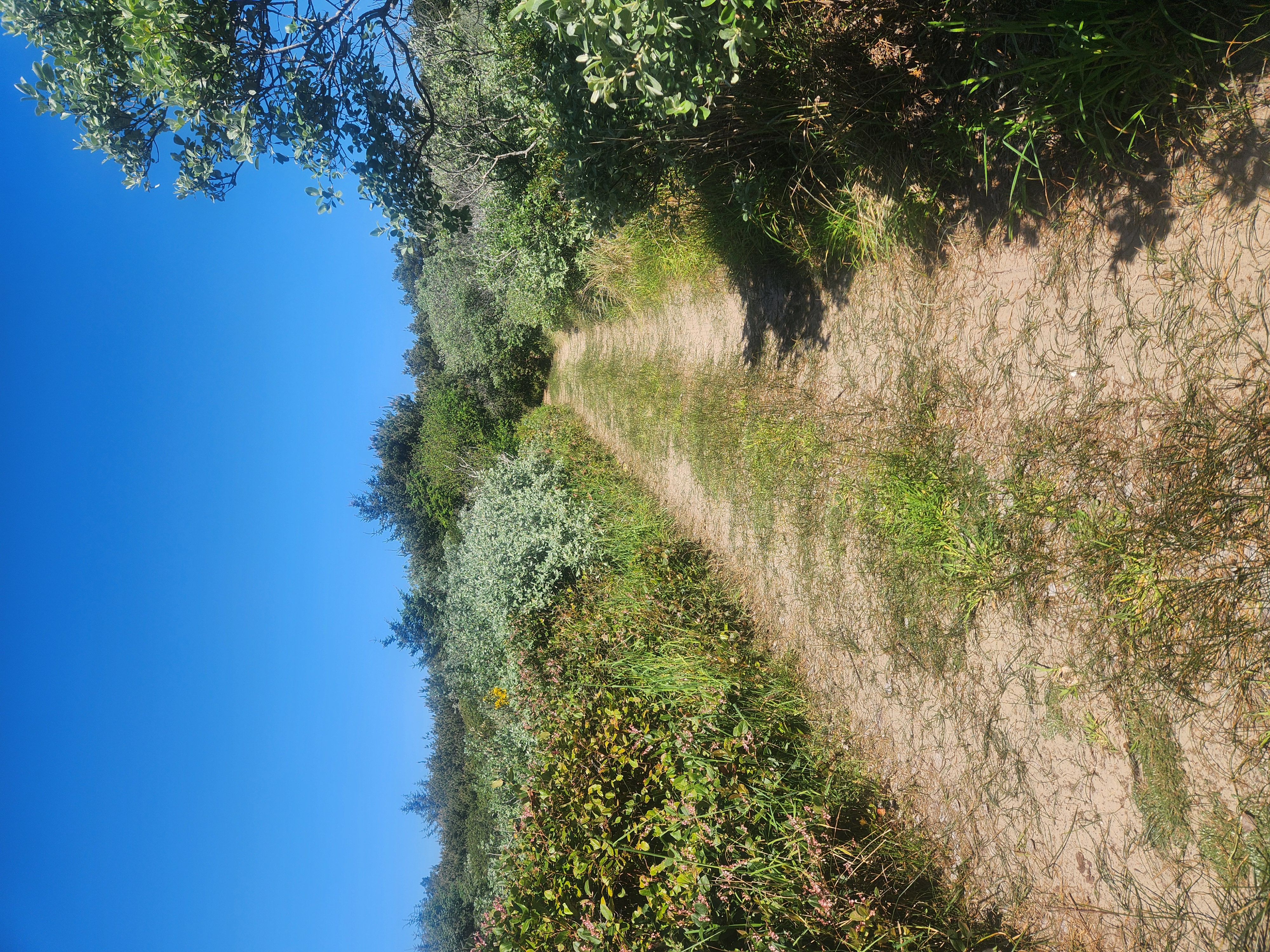 Summer at Siltcoos: Day 7