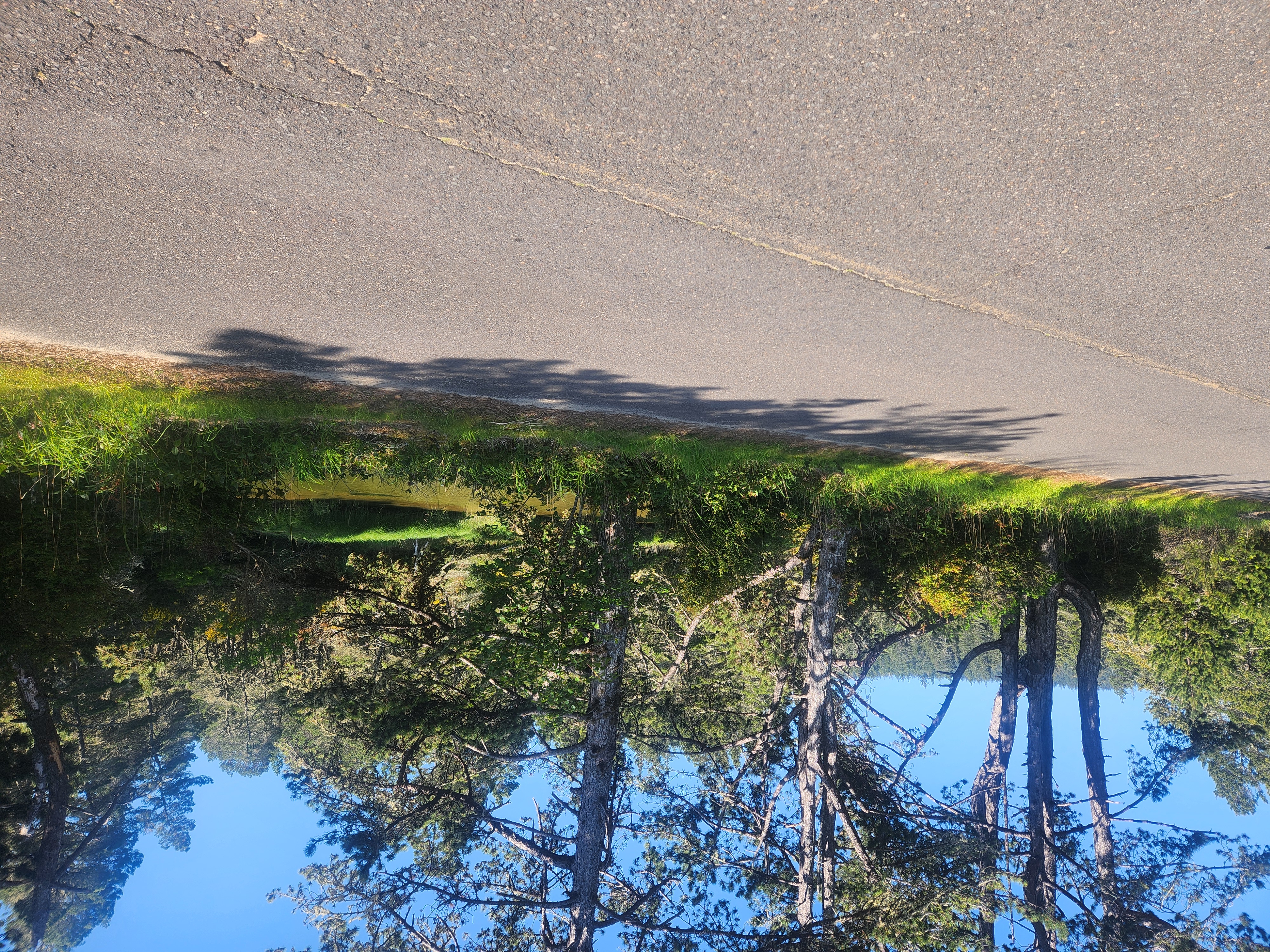 Summer at Siltcoos: Day 7