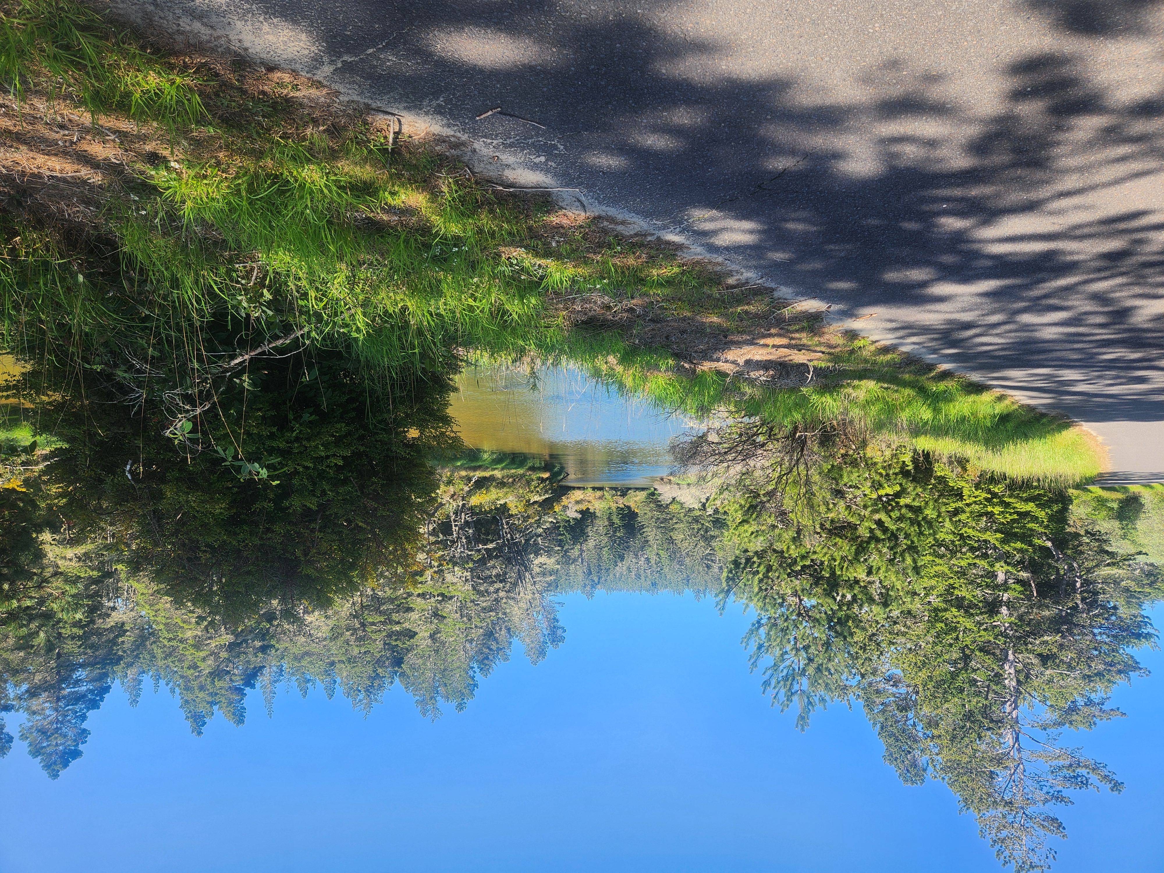 Summer at Siltcoos: Day 7